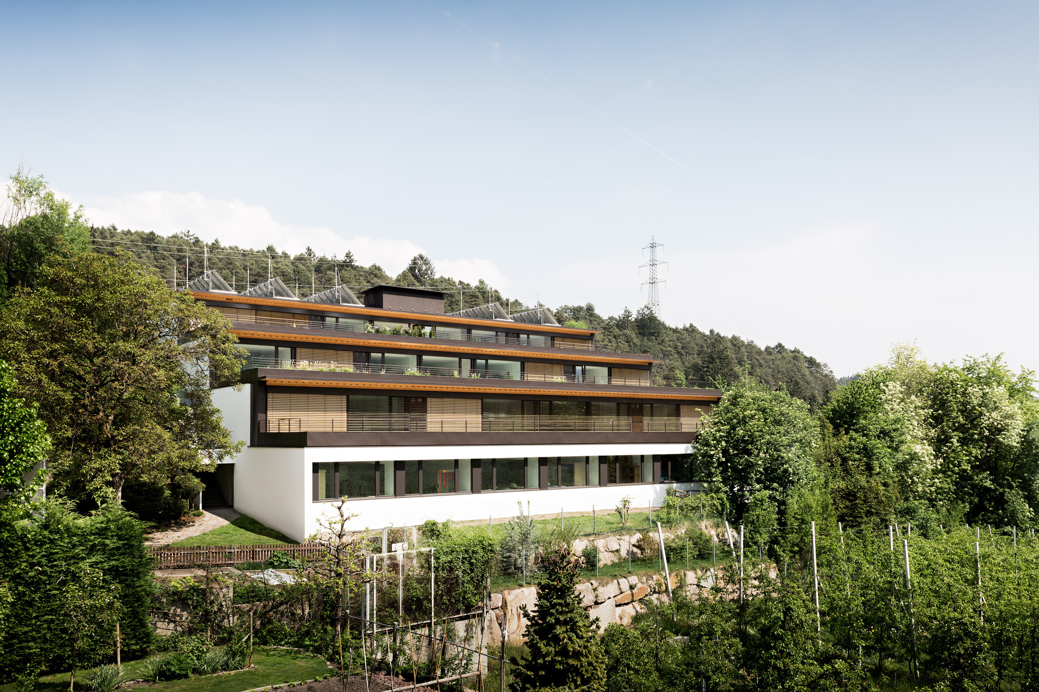 弗兰肯伯格家庭经济职业学院翻新-0