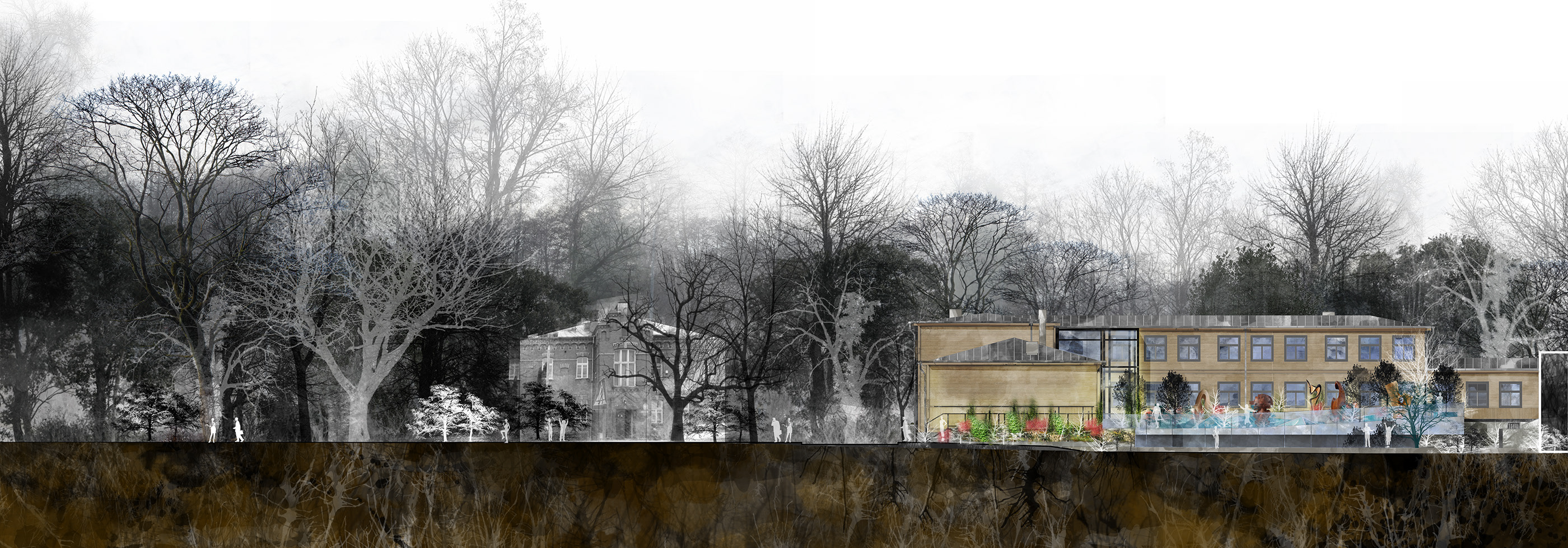 绿意盎然的比亚沃维耶扎木中心——旧校舍的现代重生-15