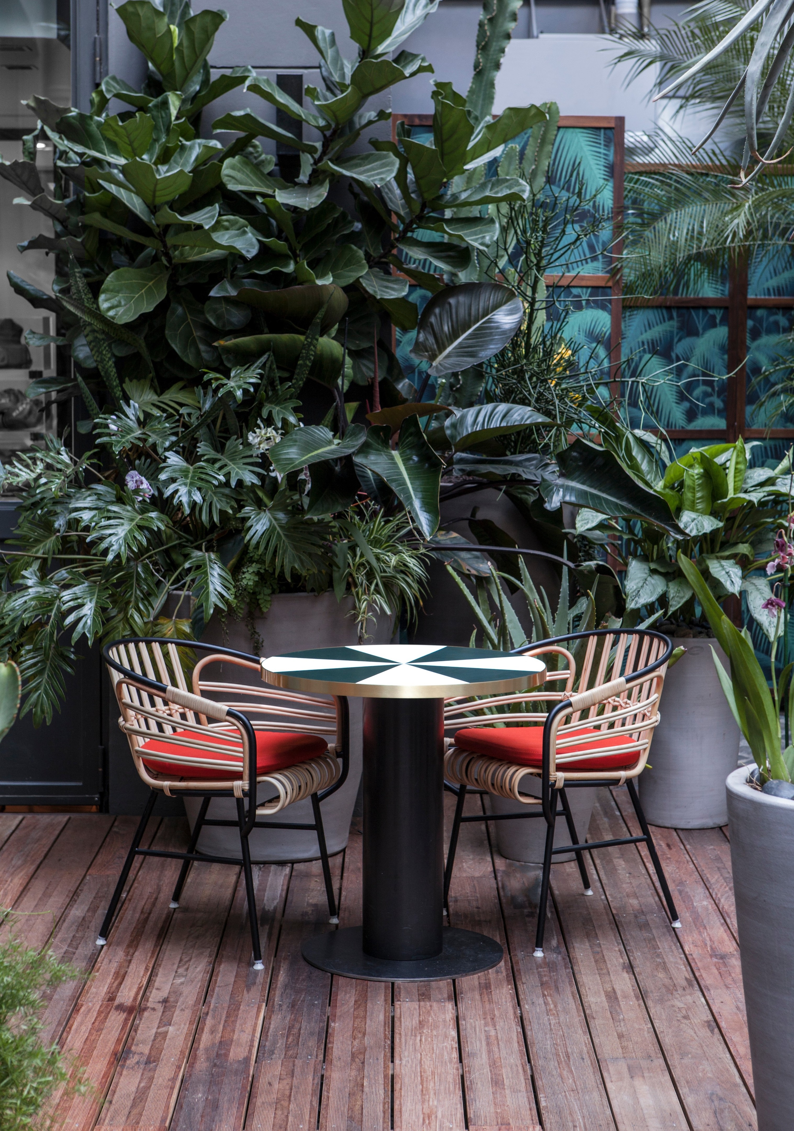 Klay Club 餐厅(Sinople)-1