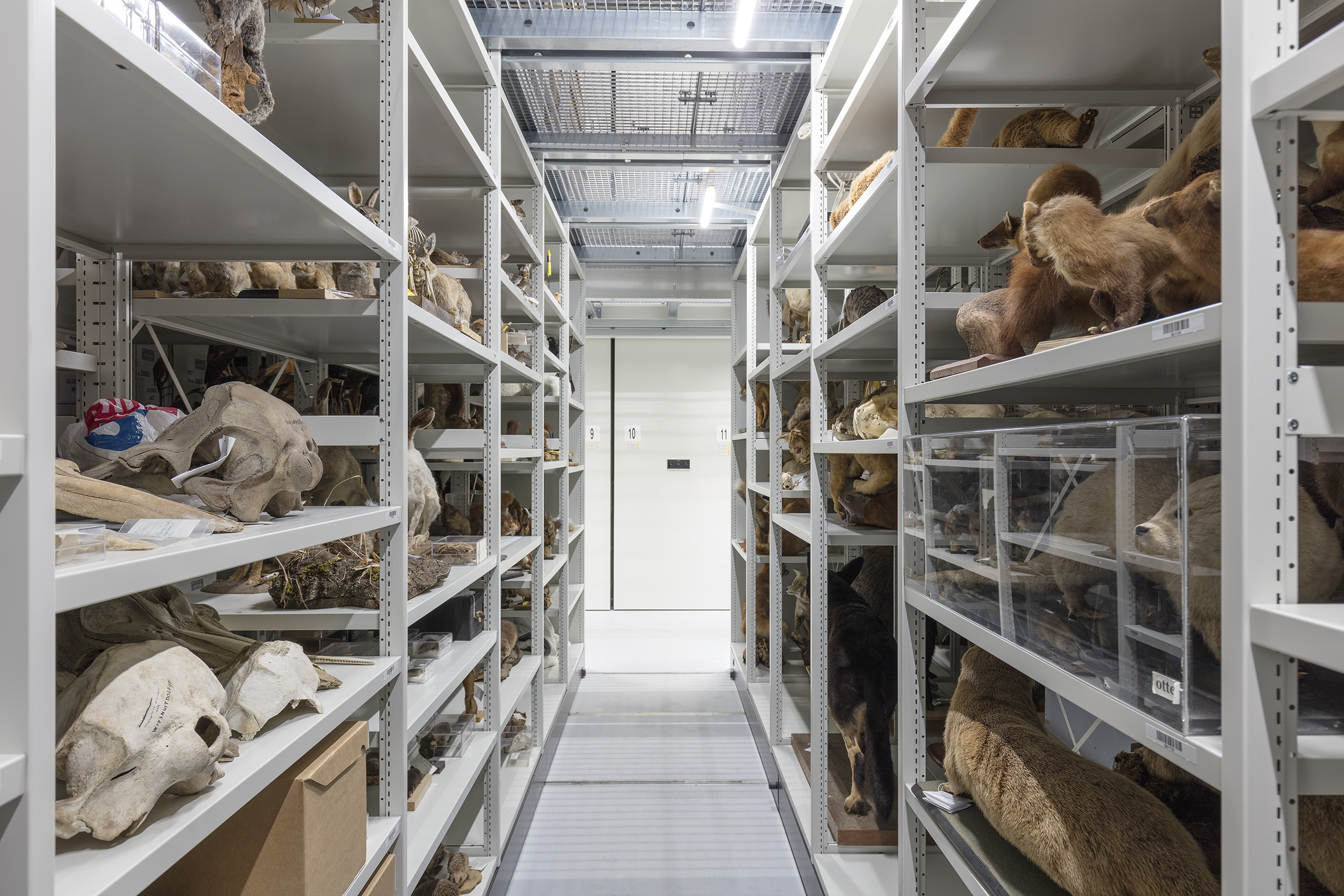 弗里斯兰收藏中心-12