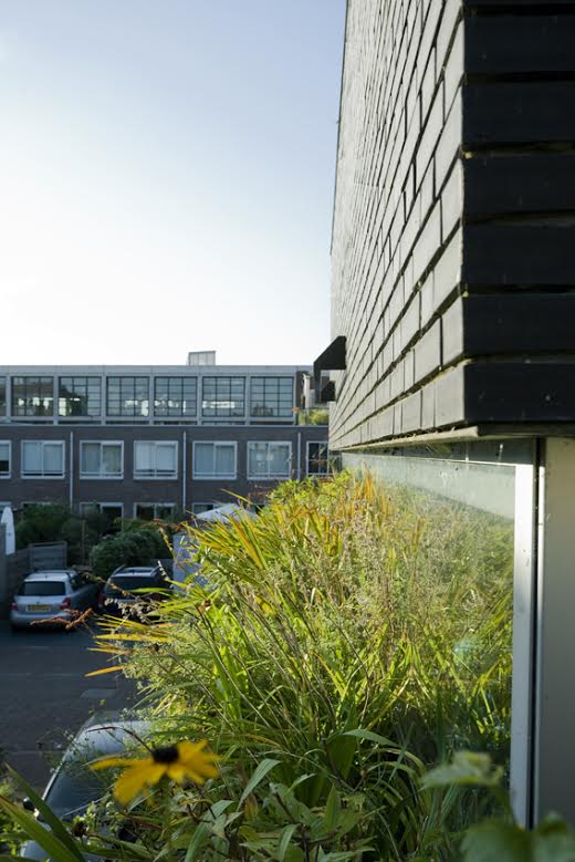 绿意盎然的家 | 垂直花园的室内设计-4