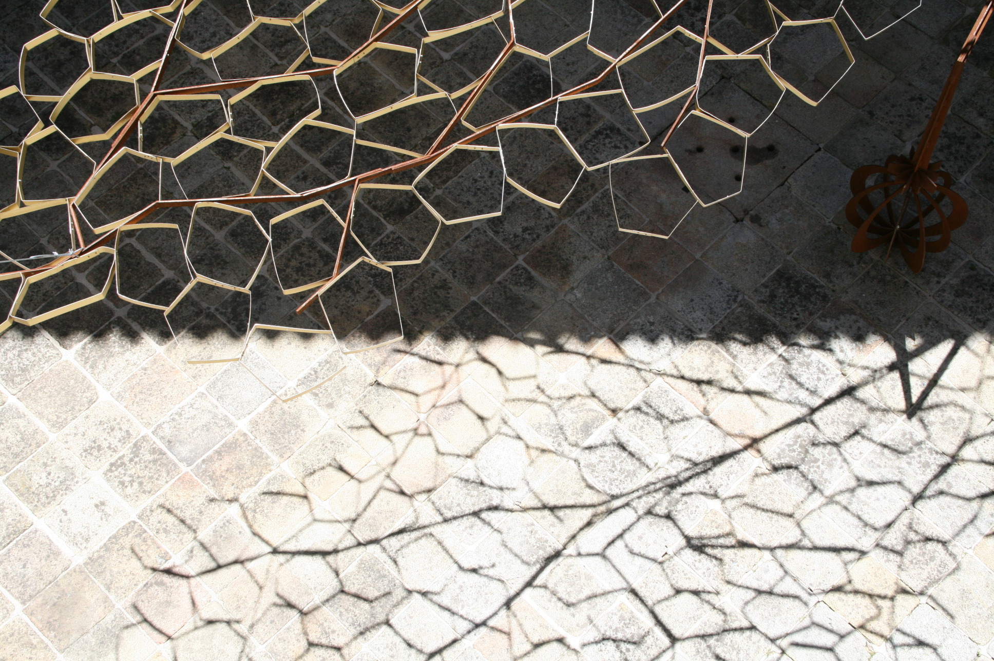 都市树语 · Viseu 城市标志· Linden Tree 的崭新诠释-20