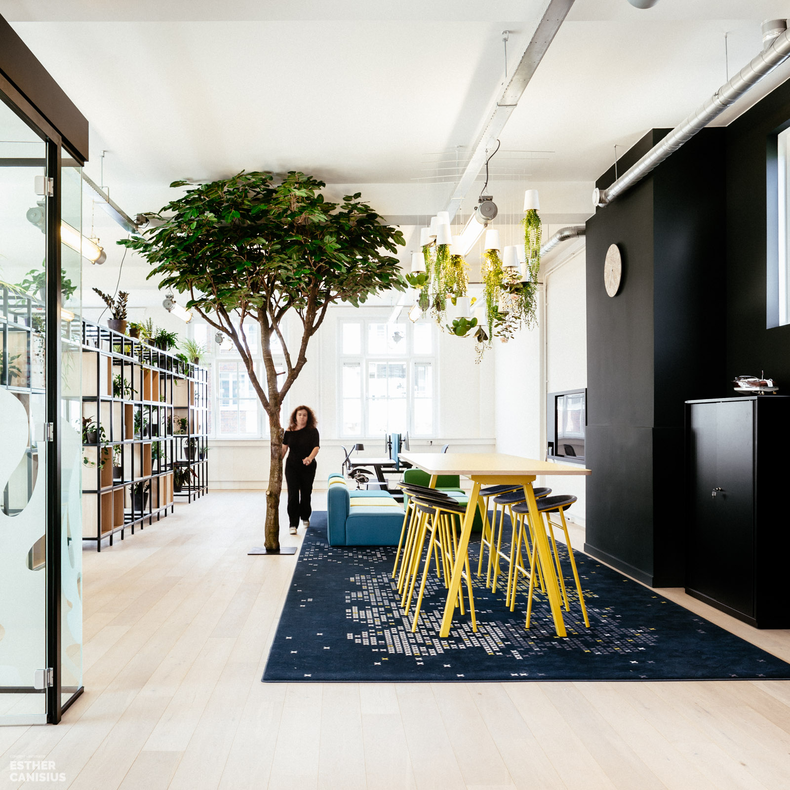 荷兰 Imkey 办公室 | 古典建筑中的现代绿意空间-0