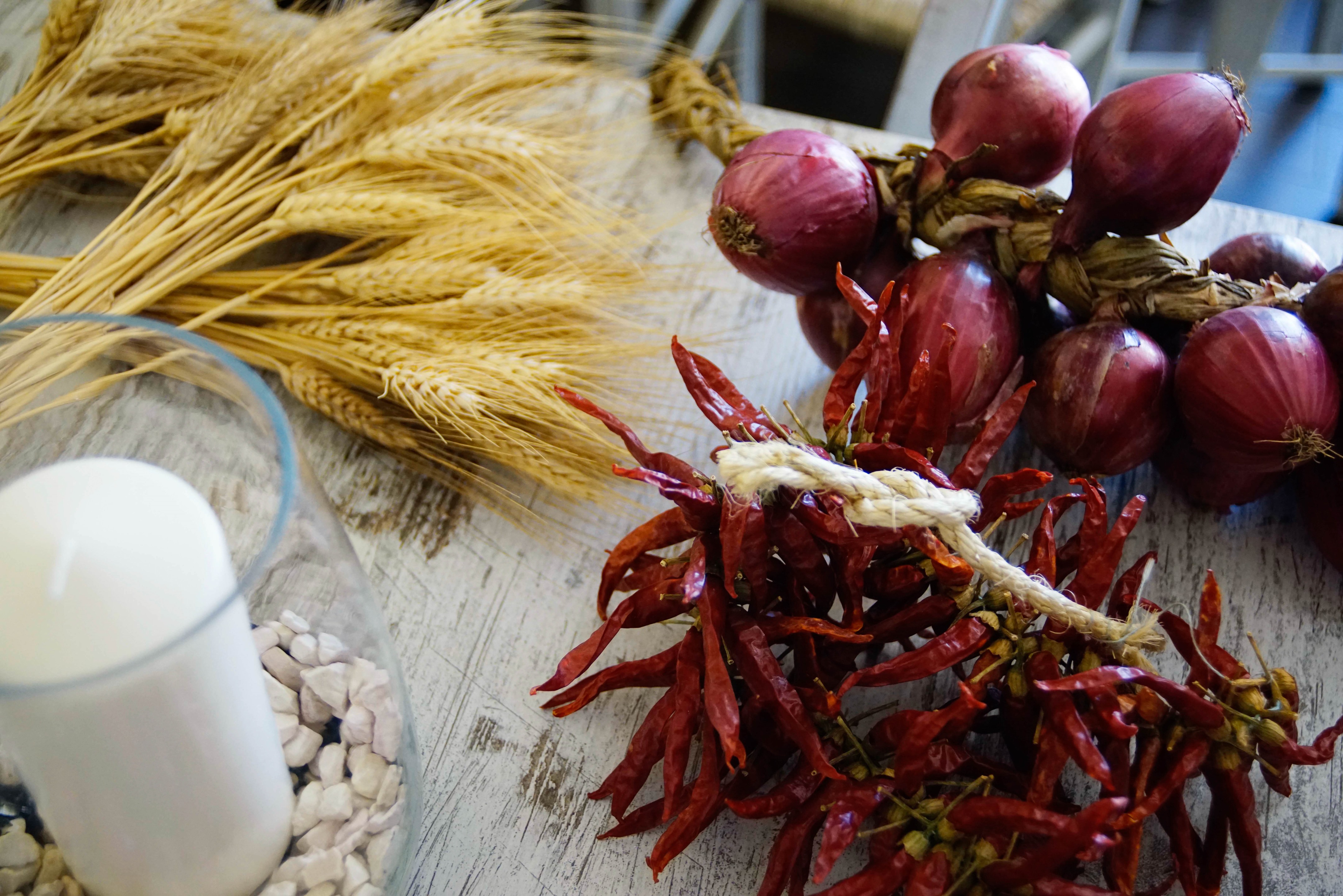 2018 年完成的潘泽里亚酒庄设计-5