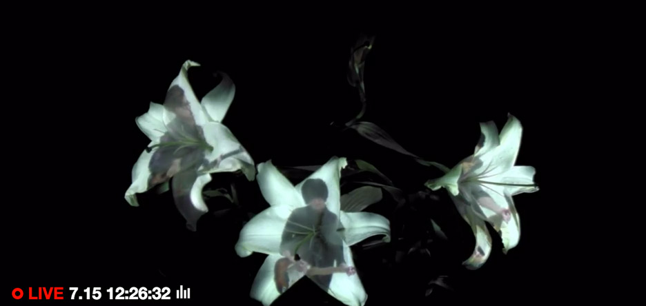 《花之颂》（Hana）-13