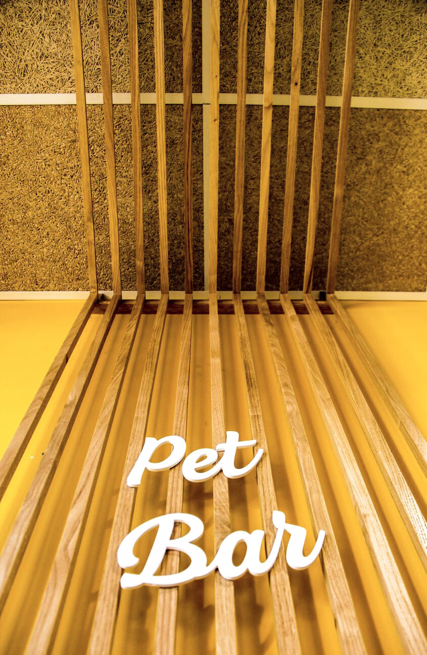 Joe Zampetti 2018 年完美收官之作-4