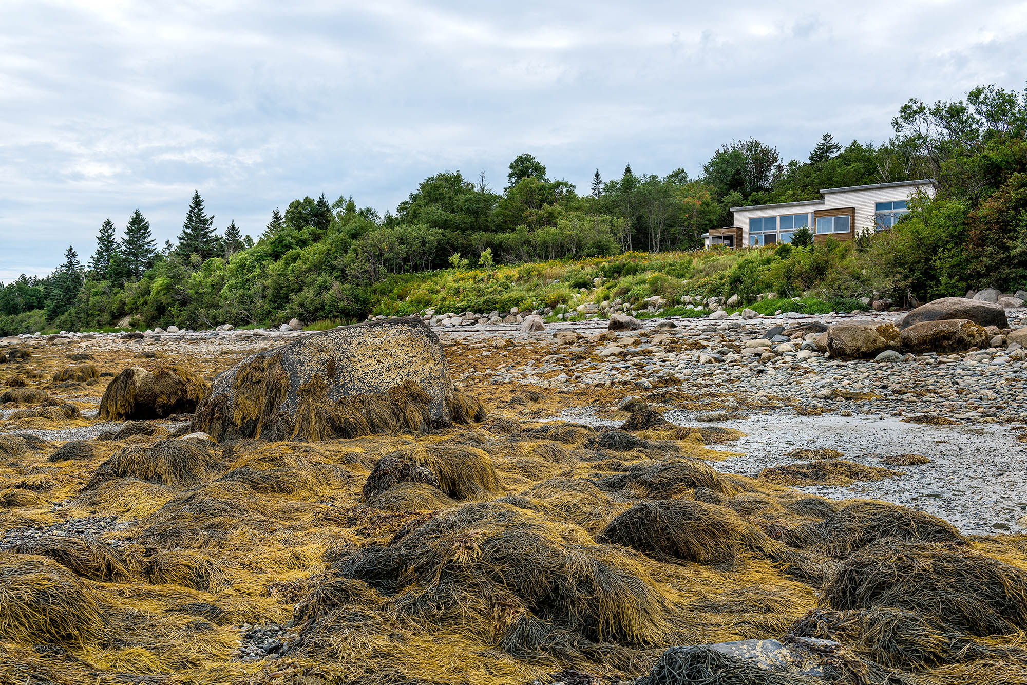 2015 年完成的木质单家庭住宅-0