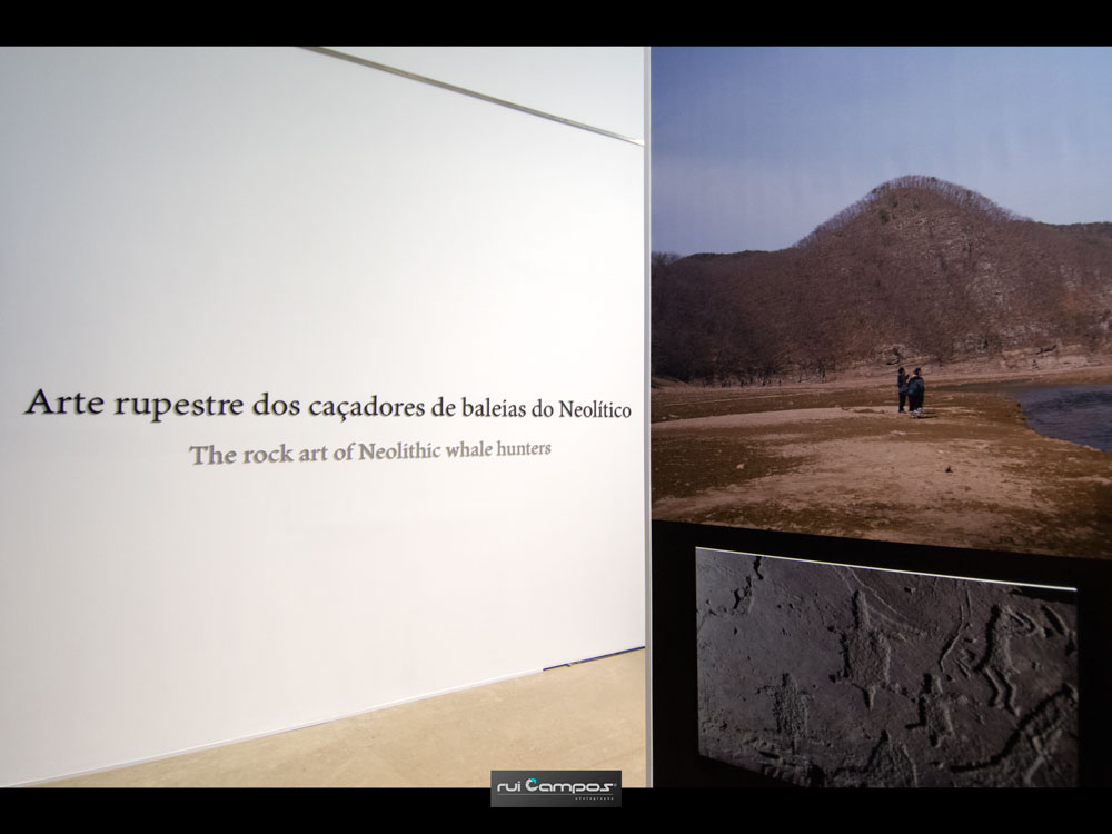 葡萄牙科瓦考古公园博物馆-33