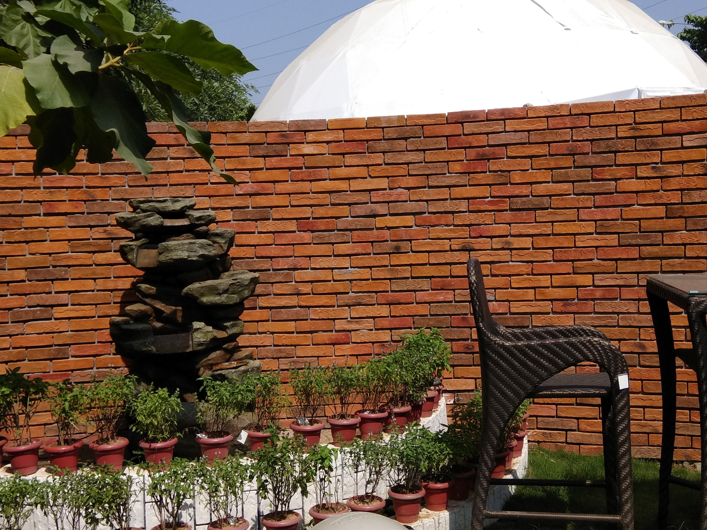 绿色氧吧 NG Studio-21