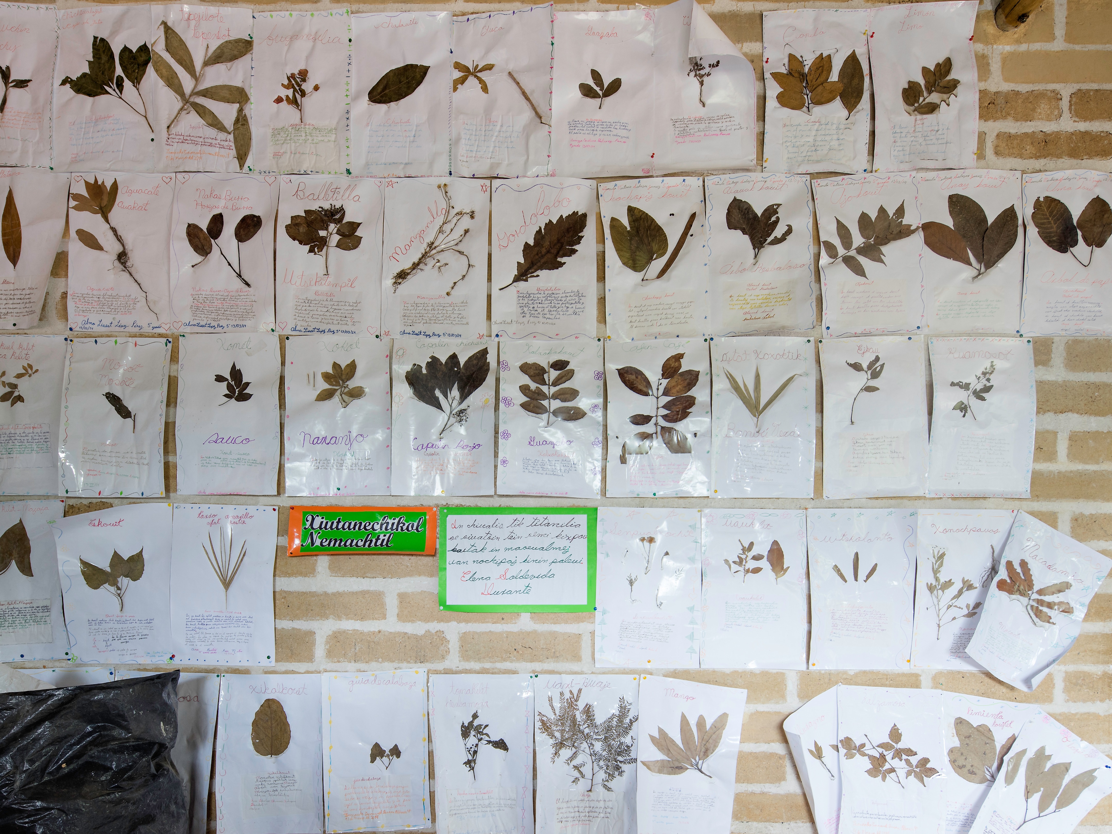 蒙特梭利·托塞潘双语学校-2