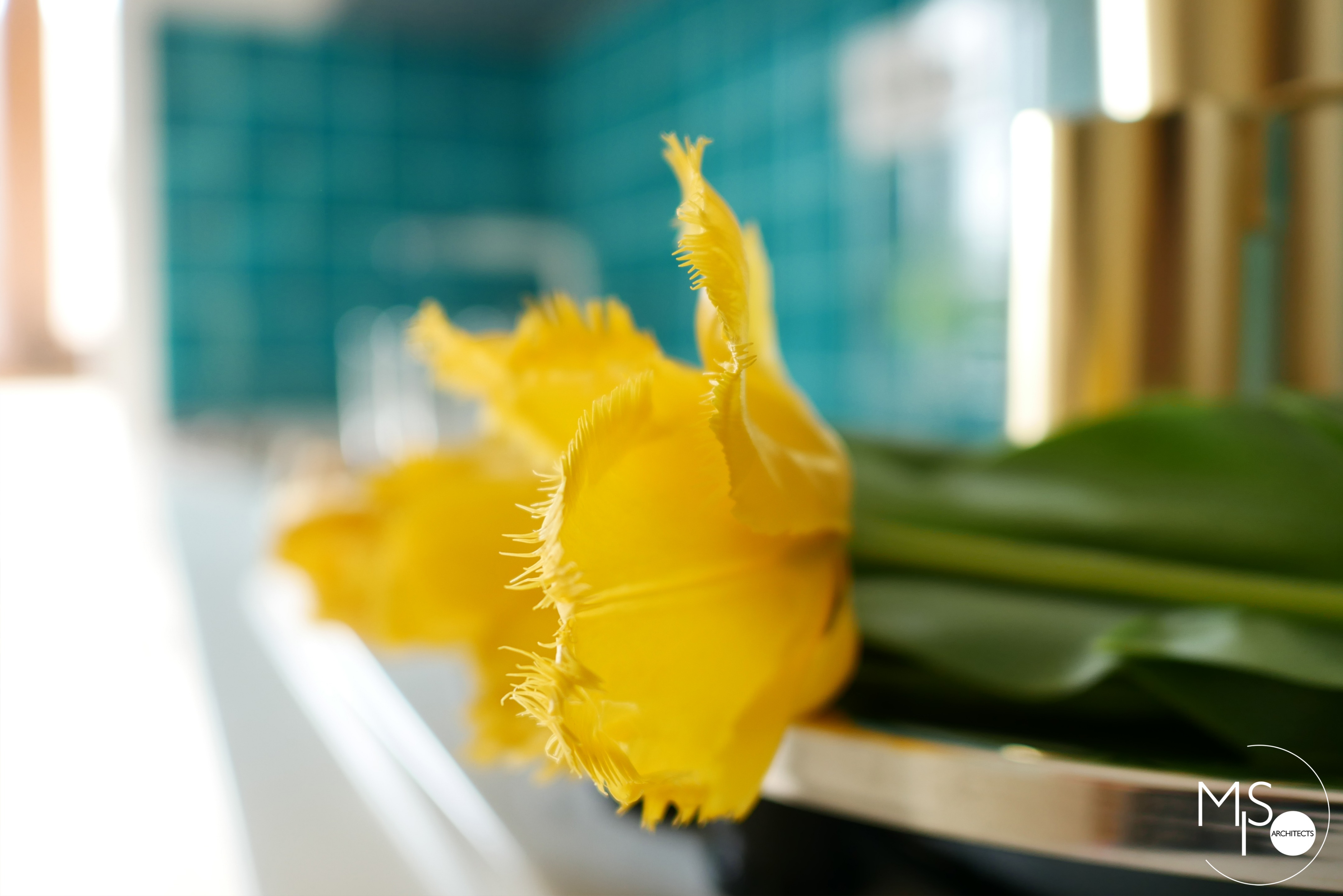 2018 年经典现代公寓设计-10