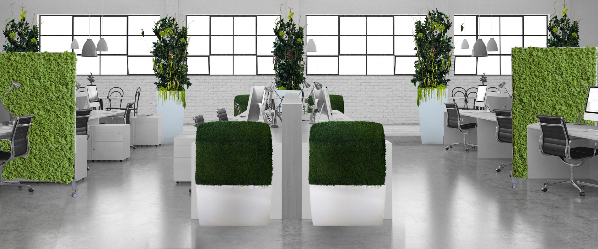 绿色栖息地 · 挑战室内绿化的极限-7