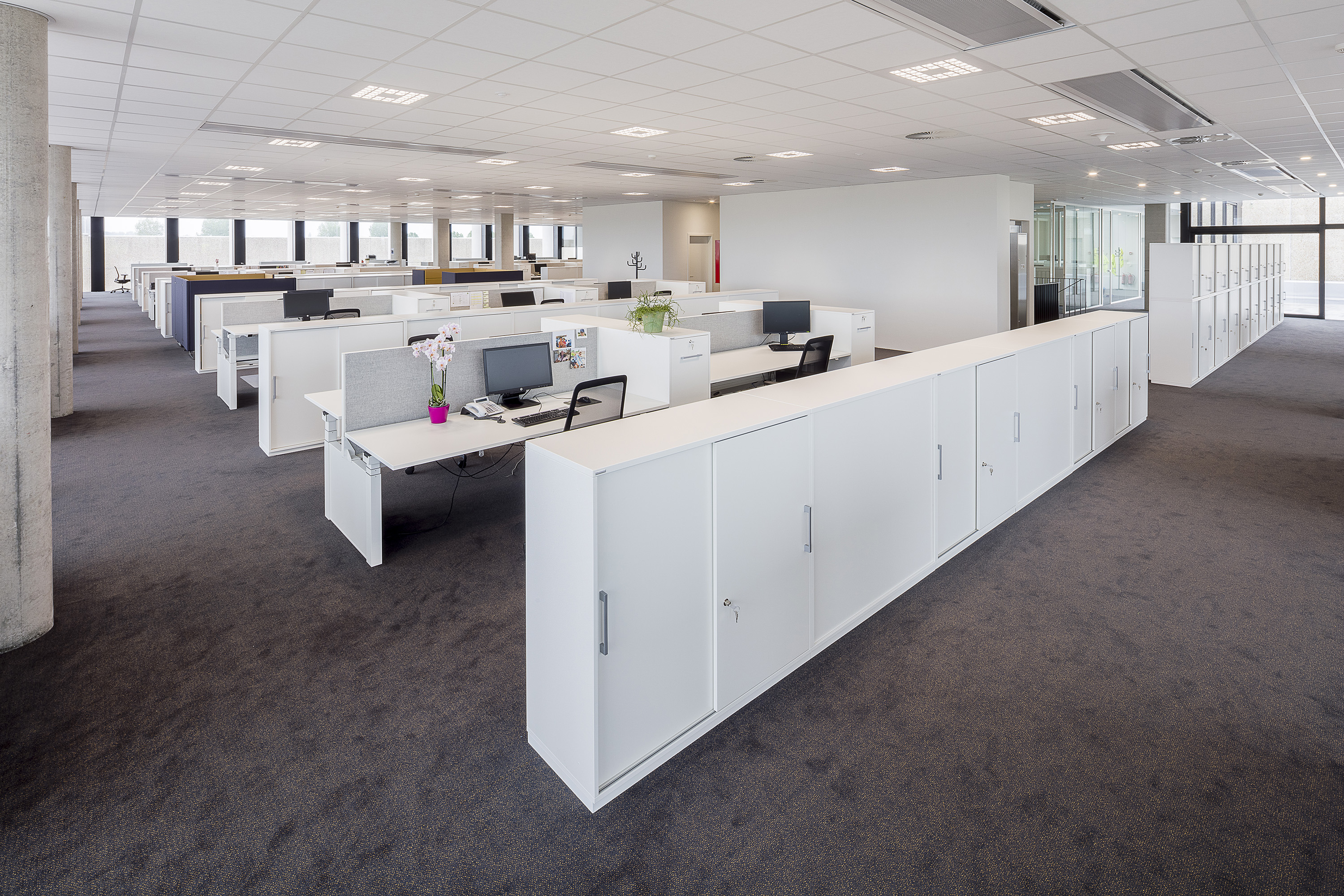 莱诺地毯公司总部-3