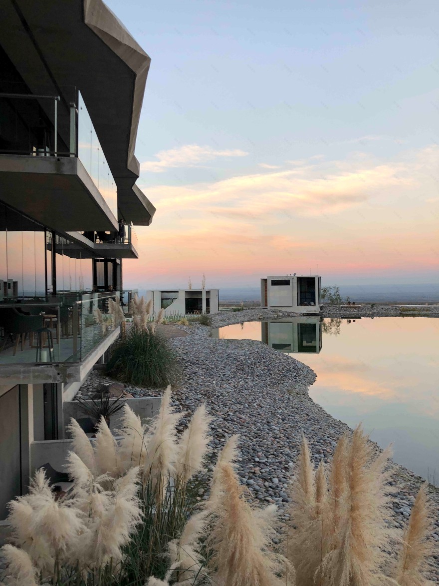 高山葡萄园里的绿色环保别墅-25