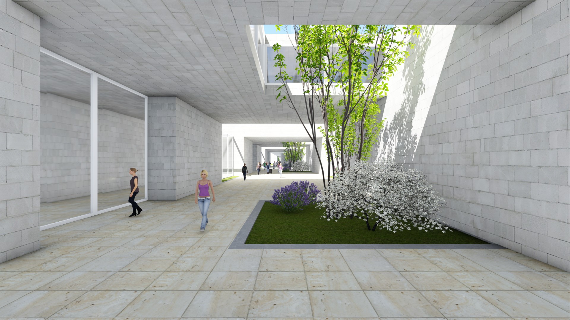 2016 年未实现的运动校园规划-13