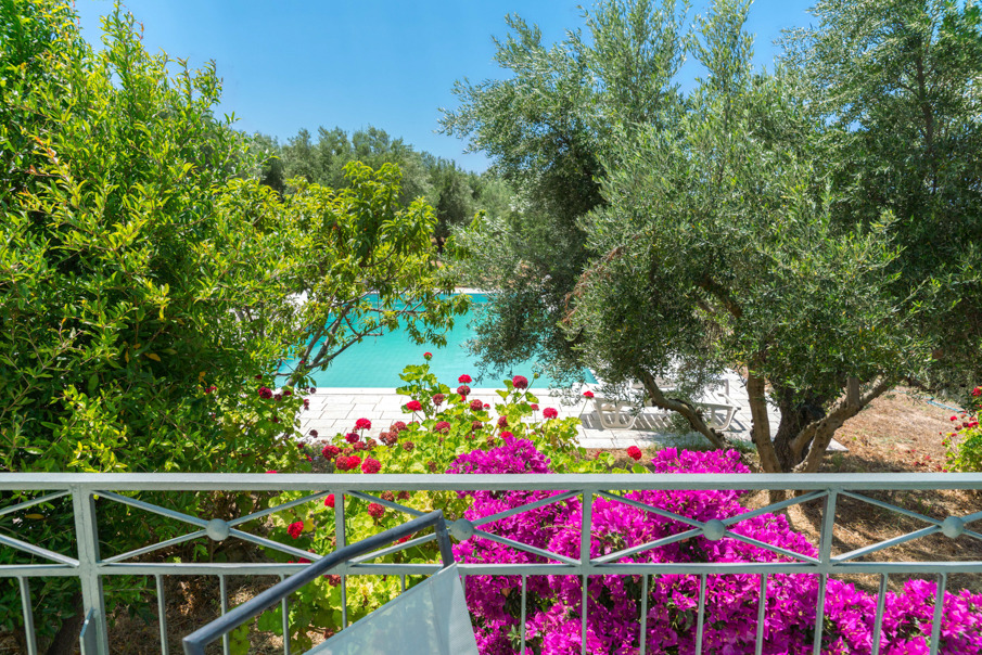 希腊 Navarino VILLA 多家庭住宅设计-12