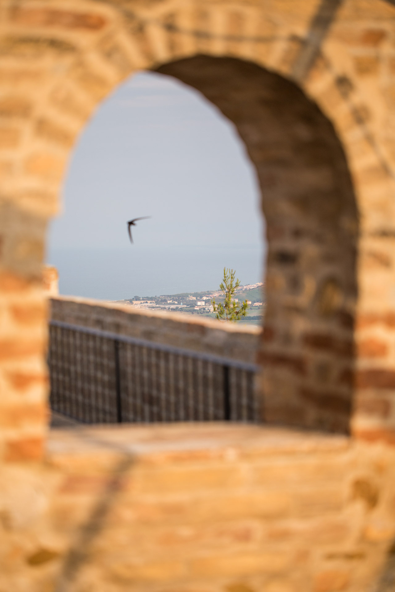 Montepagano 1137 酒店-97