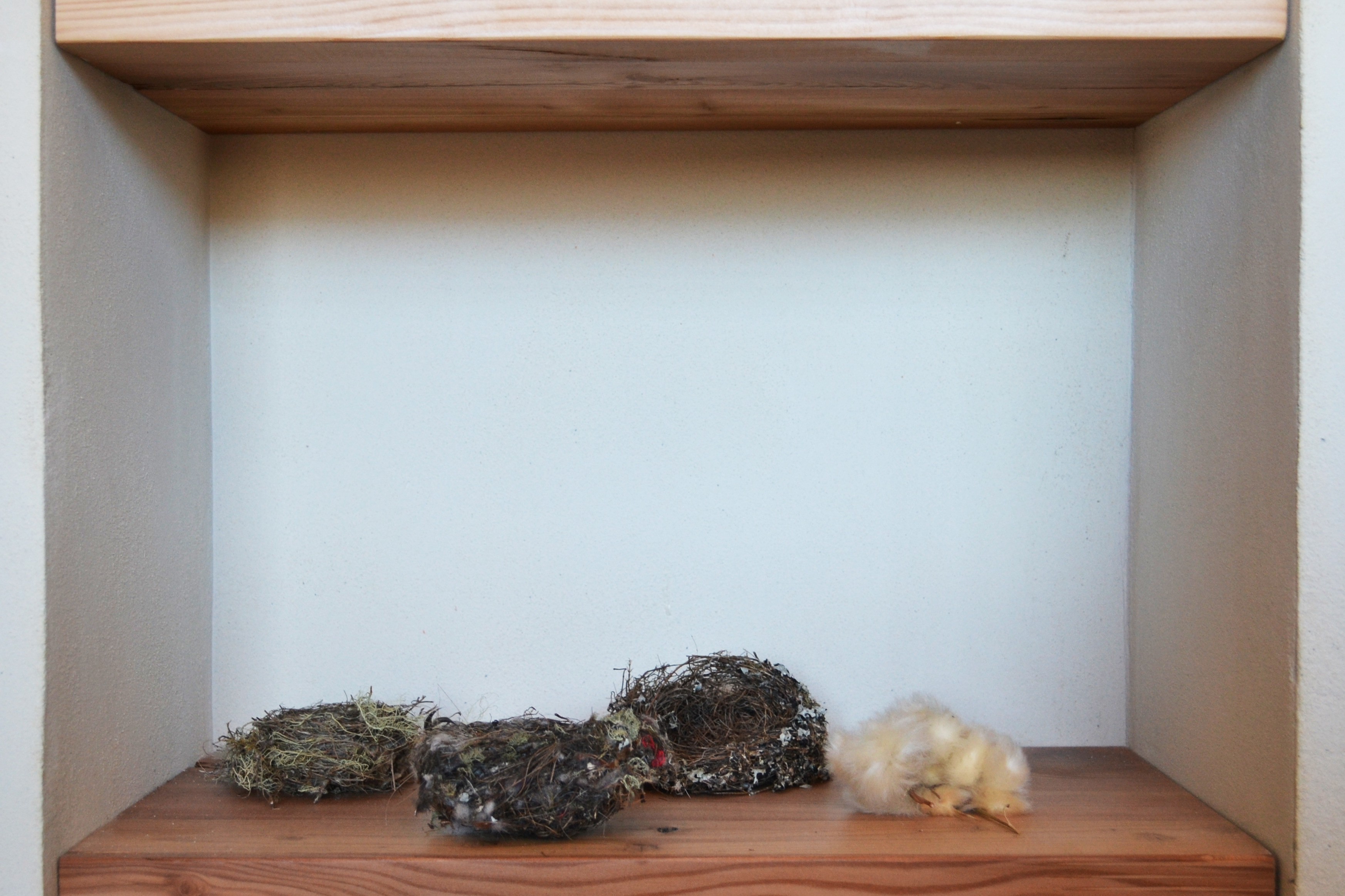 环保再生住宅-11