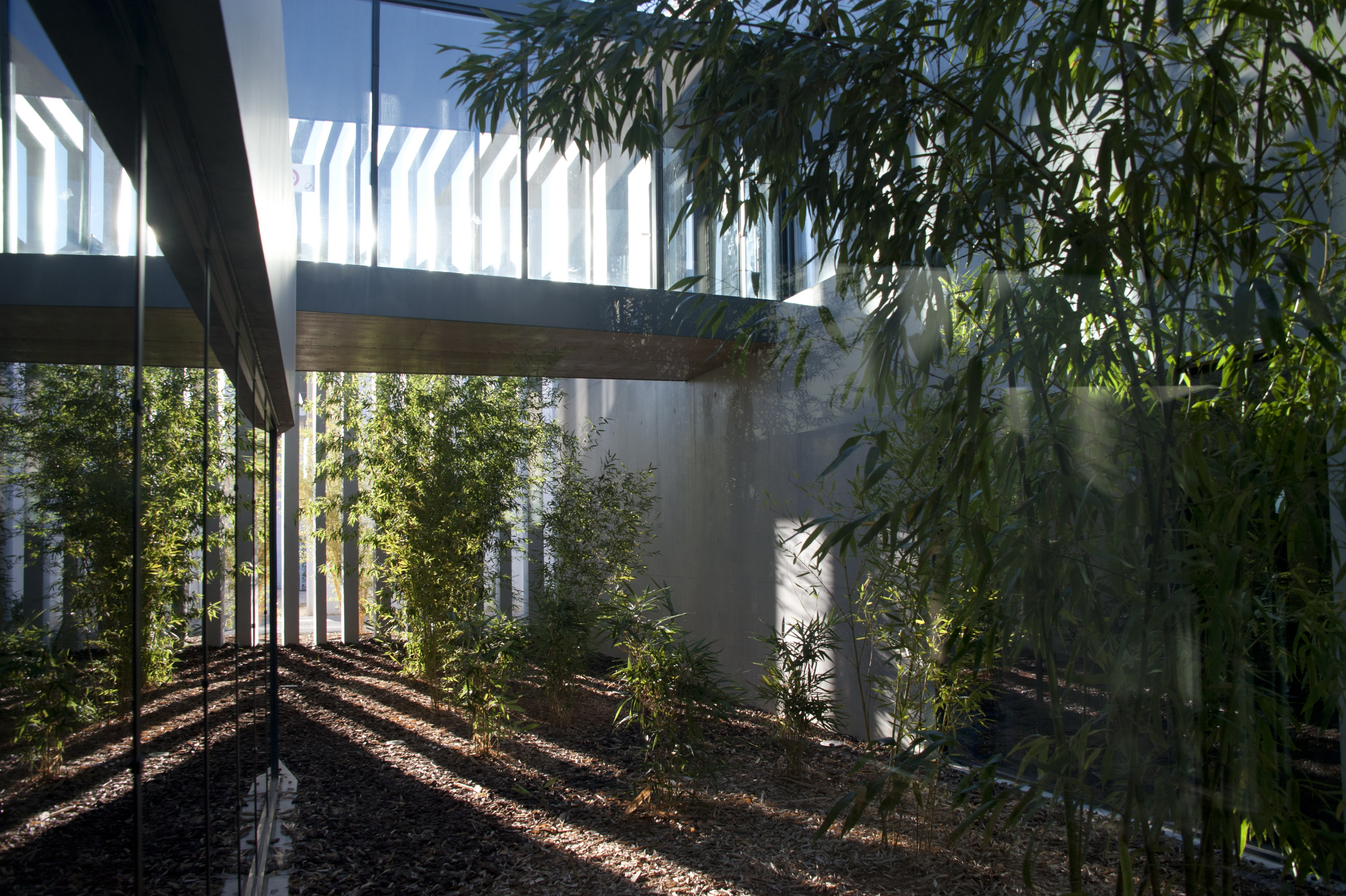 艾克斯艺术战斗之家 | 智慧谦卑的晶体-5