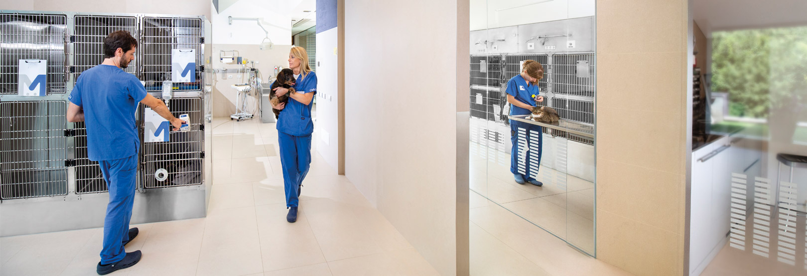 瓦雷泽兽医诊所-4