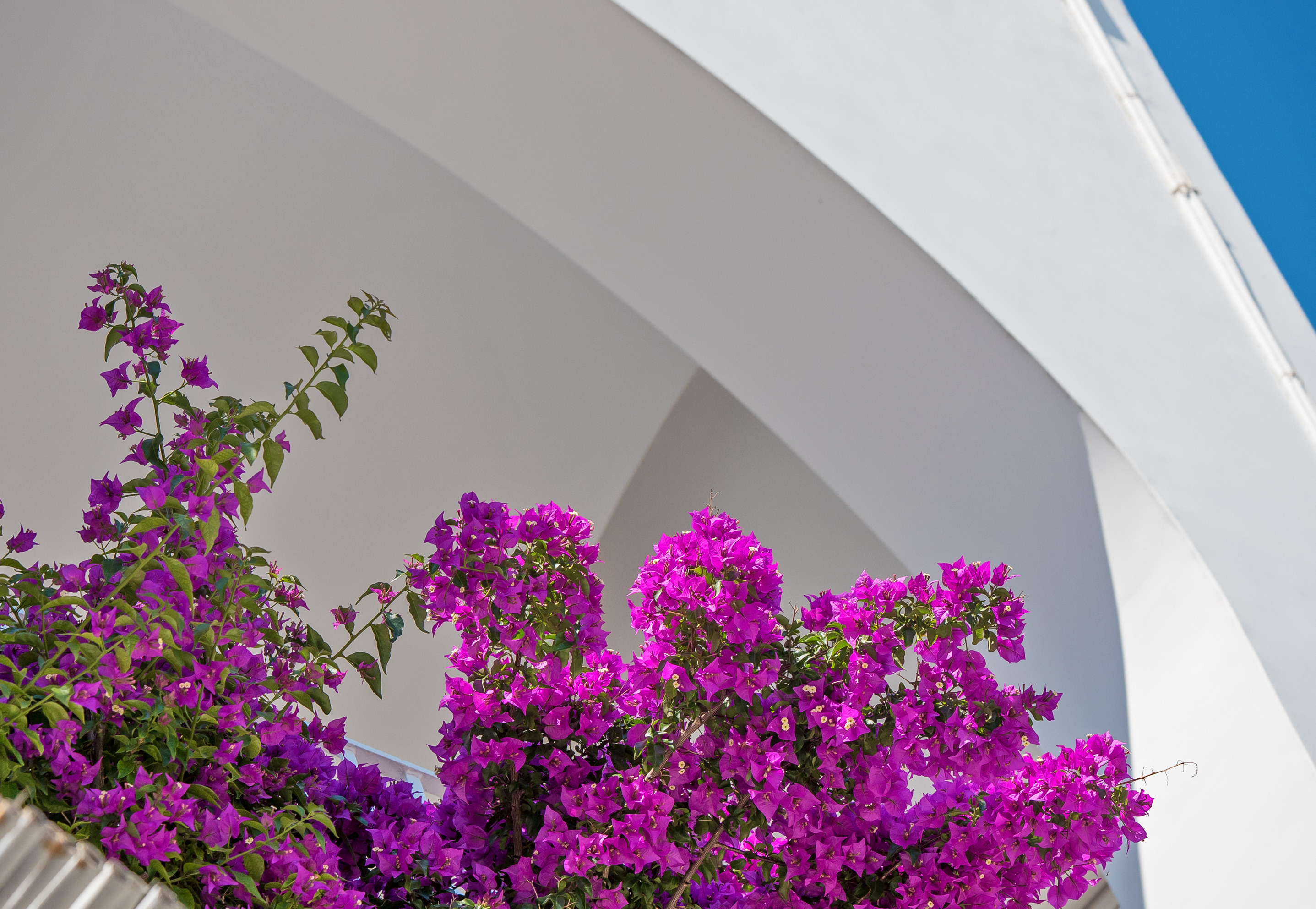 意大利卡普里岛“贝尔维德雷”家居设计&水疗中心-11