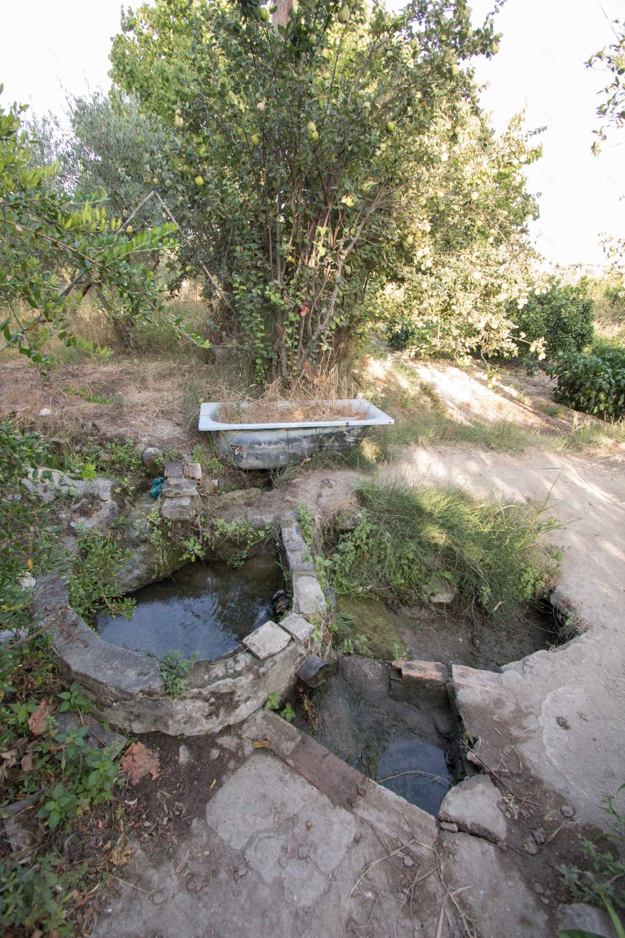 历史果园“El Pilar”的恢复性改造-21