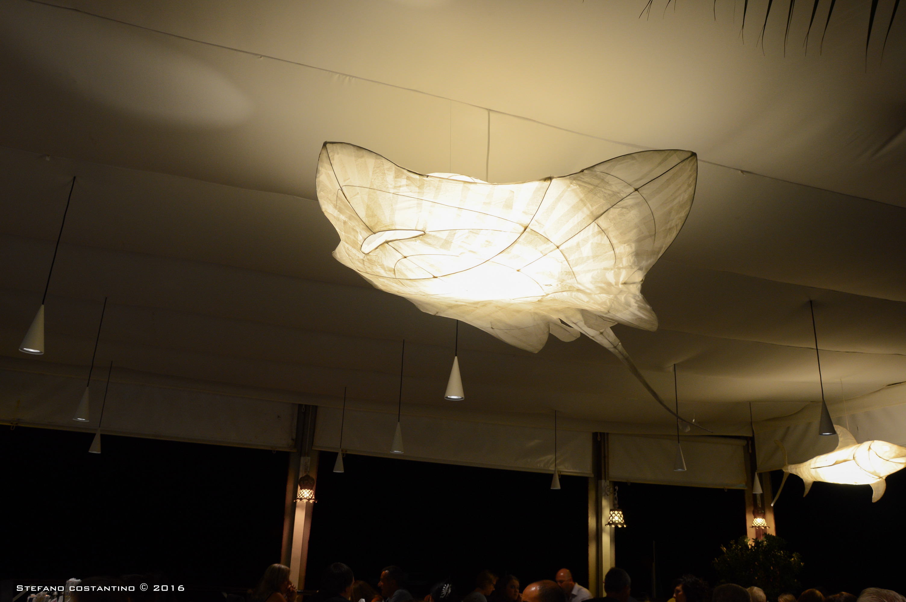 光怪陆离的海底餐厅-1