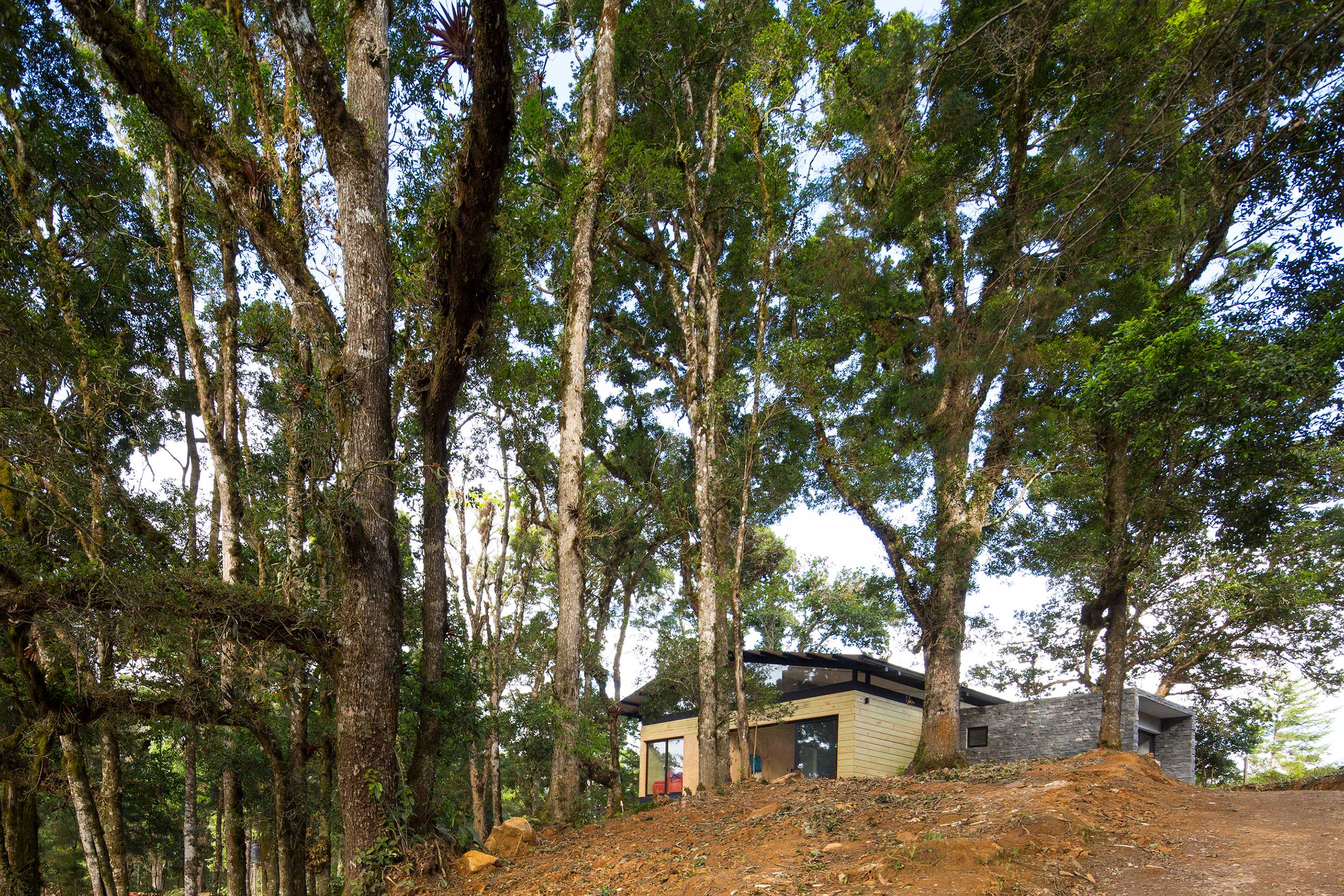 哥斯达黎加 EFC 小木屋-9