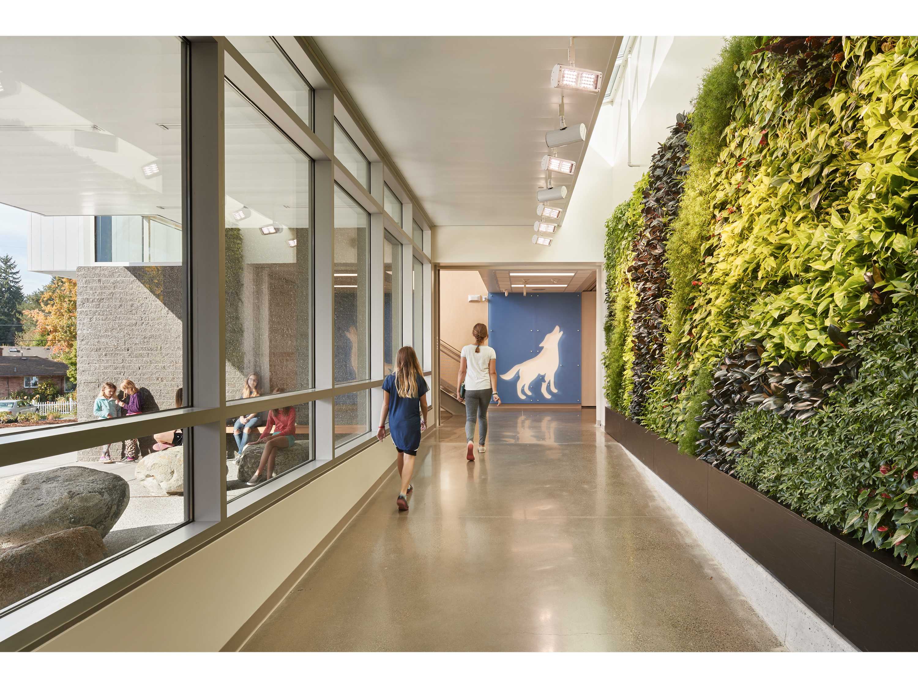 Hazel Wolf K·8 E·STEM 学校设计-7