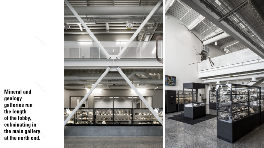 圣胡安学院的新能源学院-20