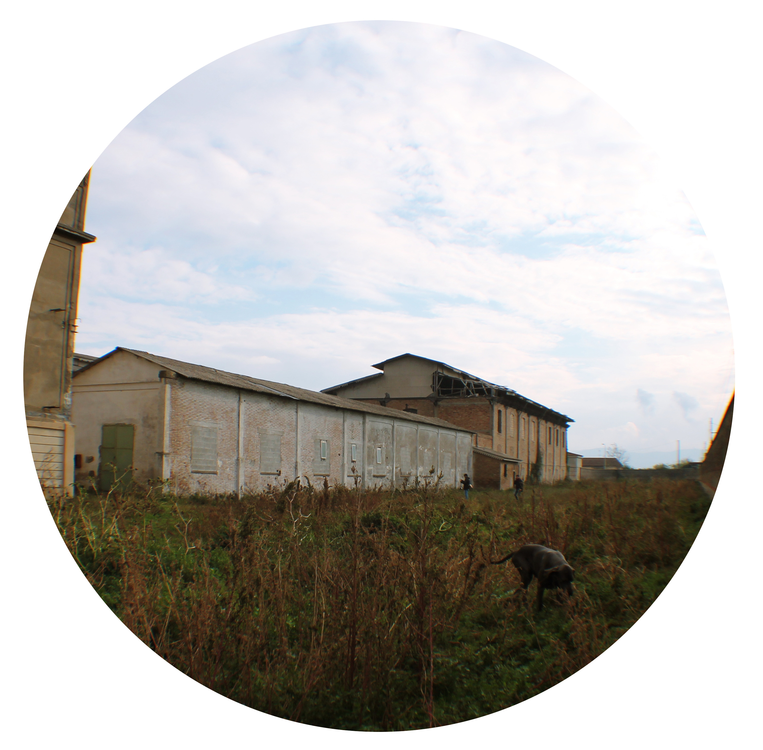 工业遗址的华丽转身 | 意大利 Sele 平原烟草工厂复兴-19