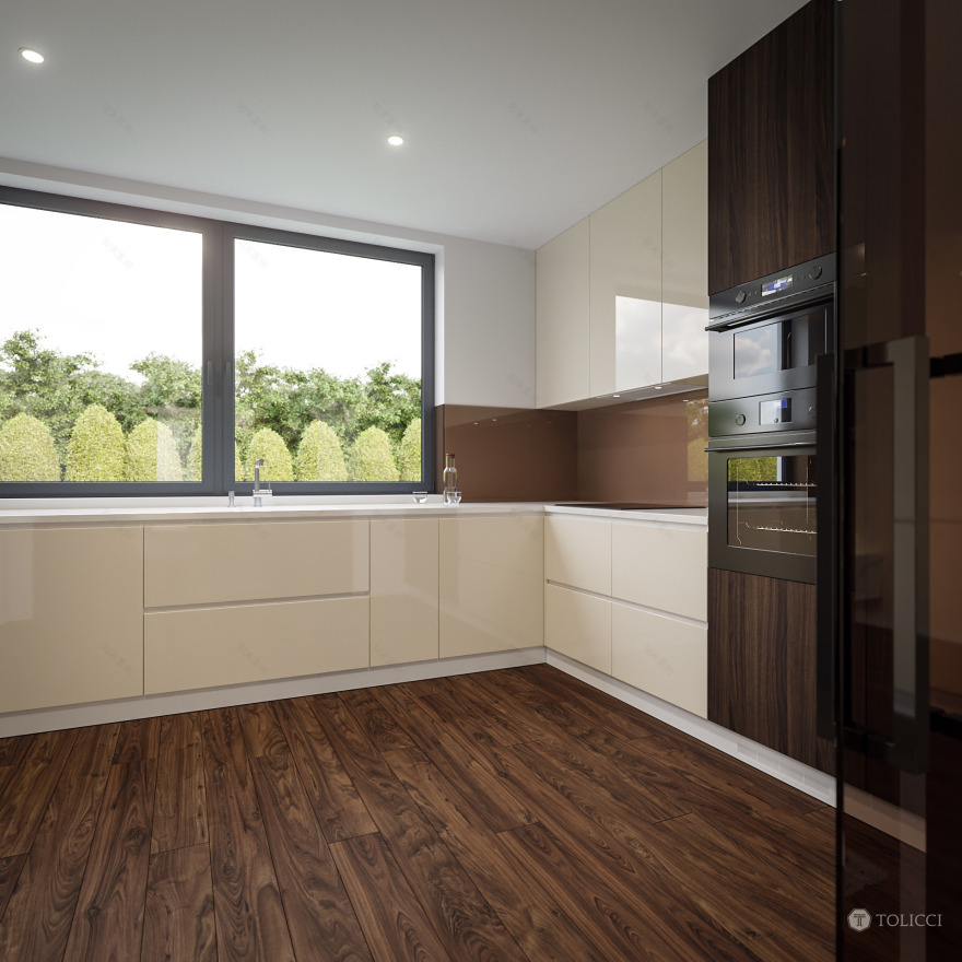 2017 年未实现的巴č家庭住宅设计-19