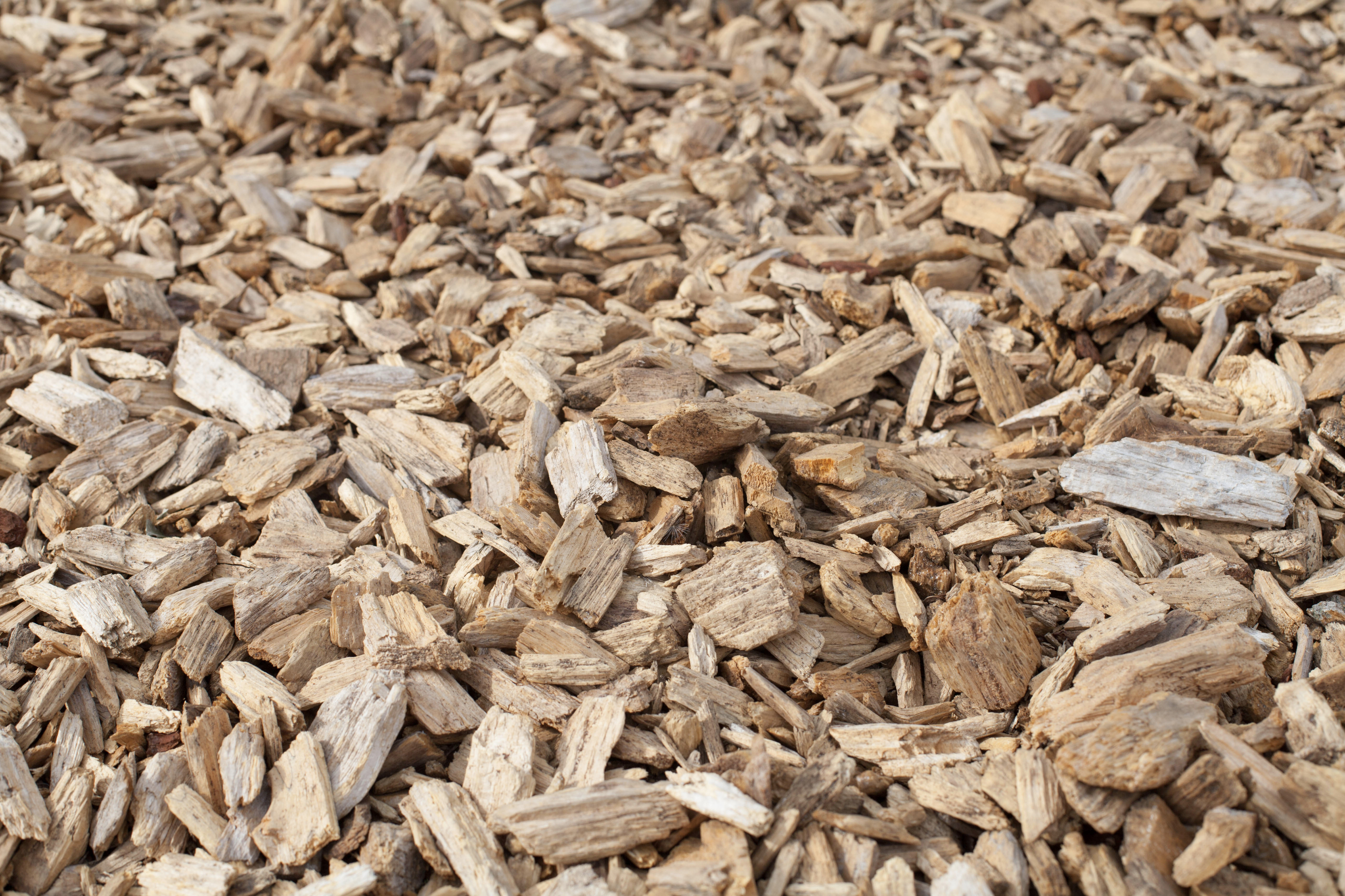 海洋主题休闲餐厅设计-6