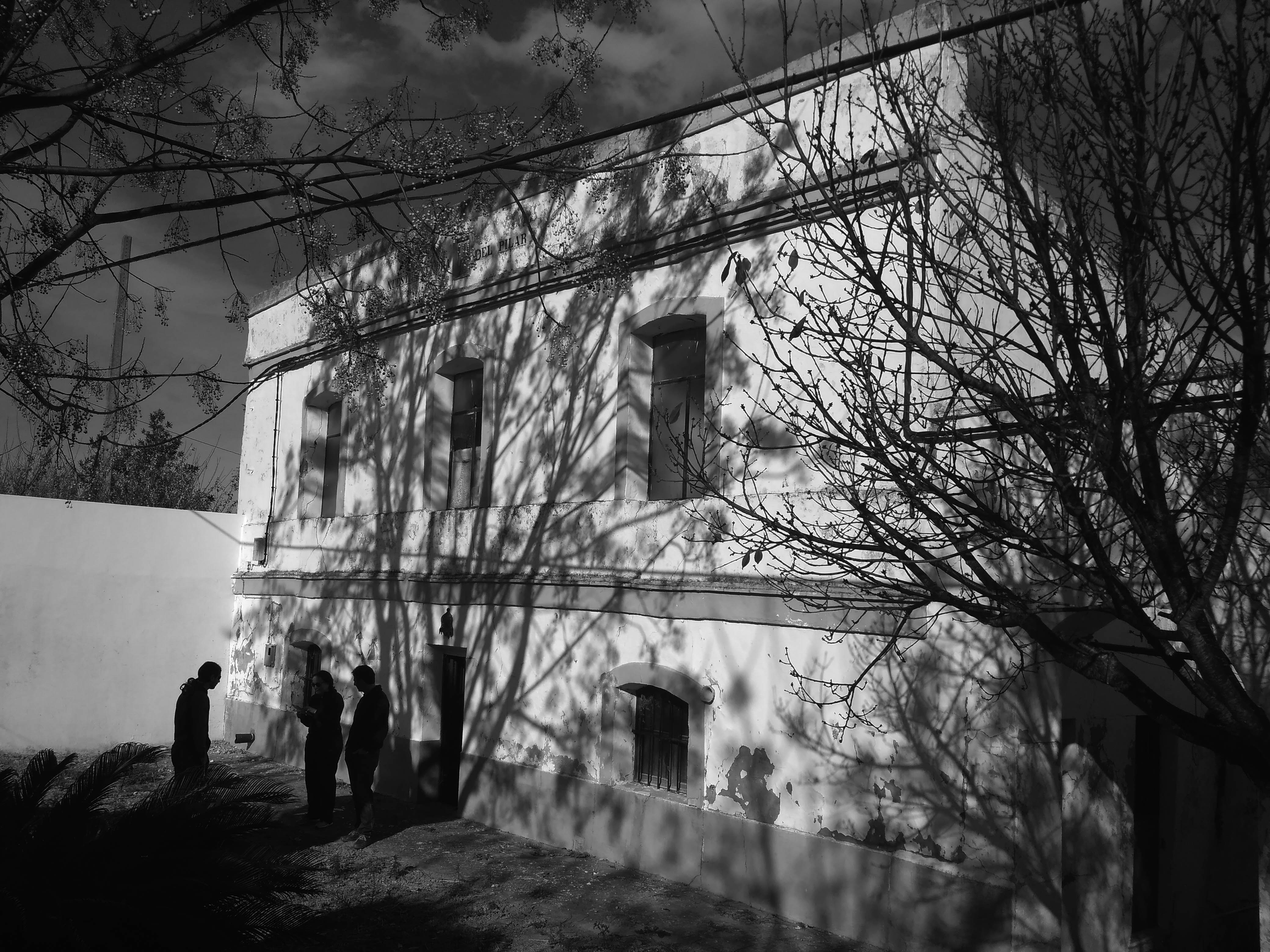 历史果园“El Pilar”的恢复性改造-3