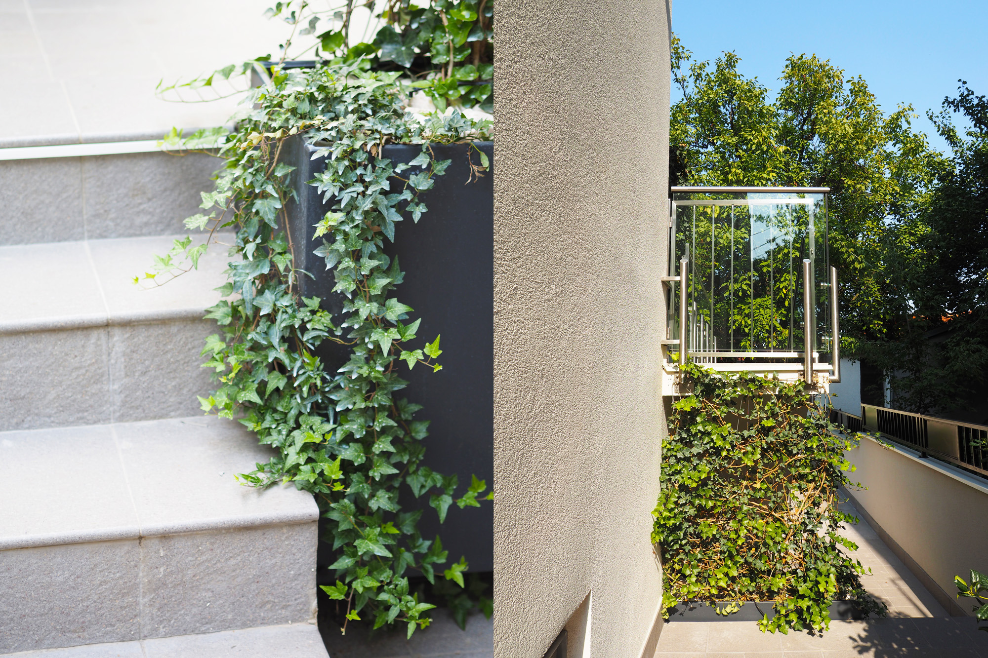 为所有感官而创造，私人住宅花园和屋顶露台-10