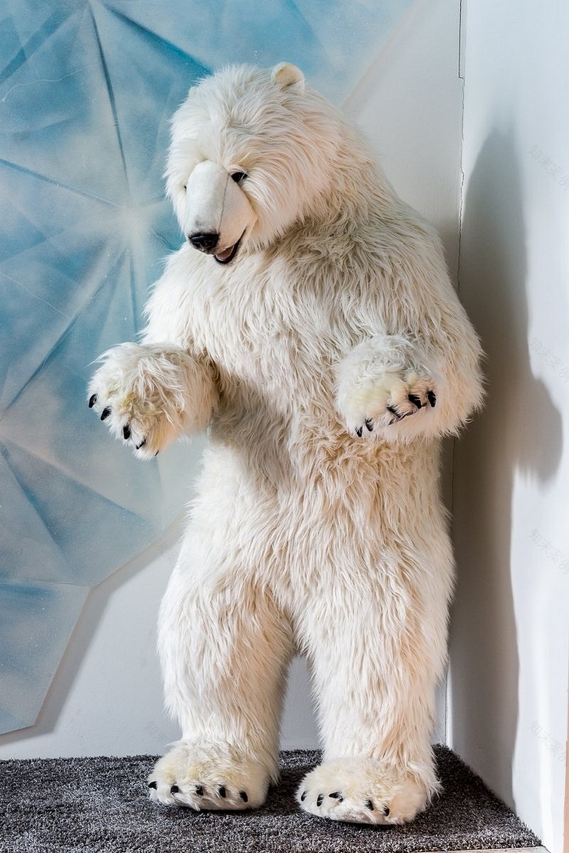 城堡中的梦幻办公室-43