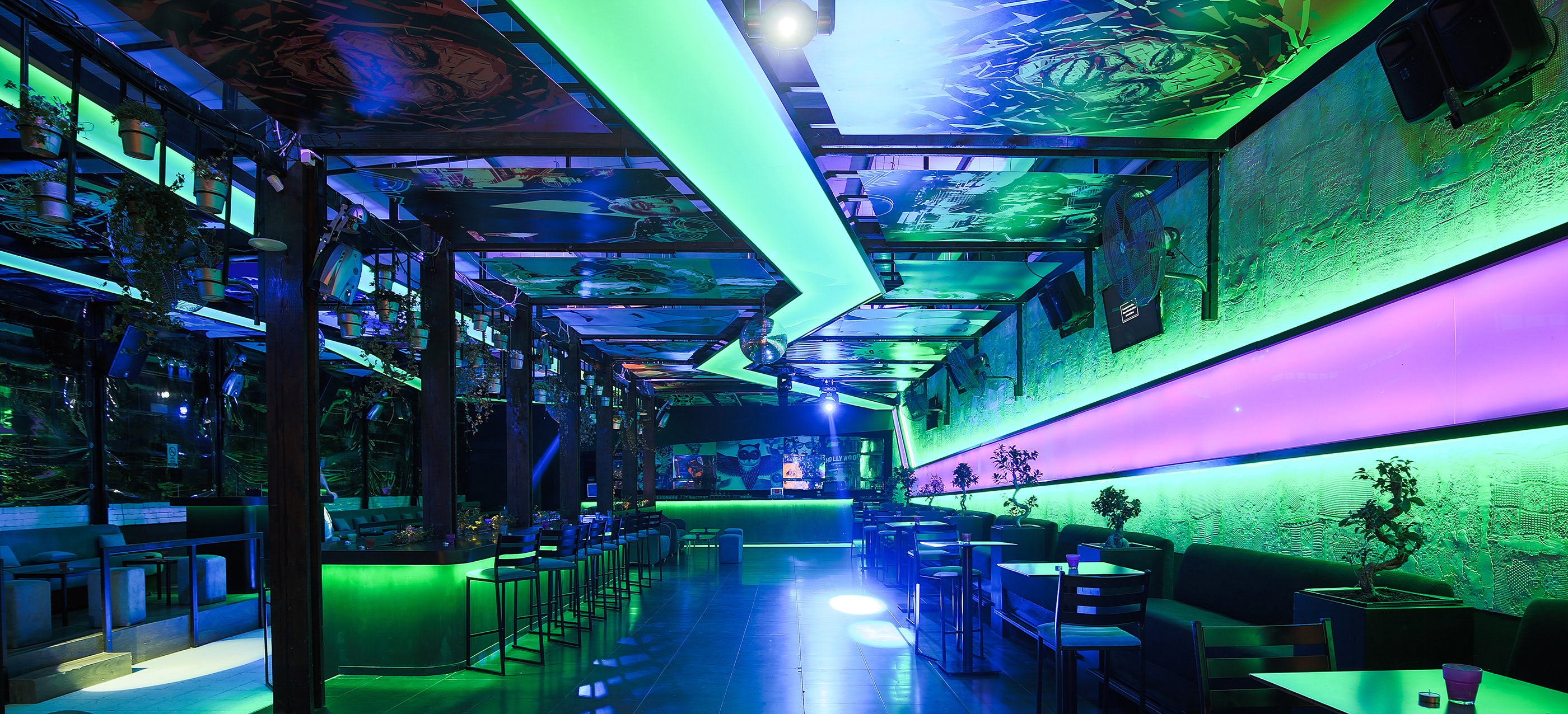 BONZAI Lounge Bar & Sushi-0