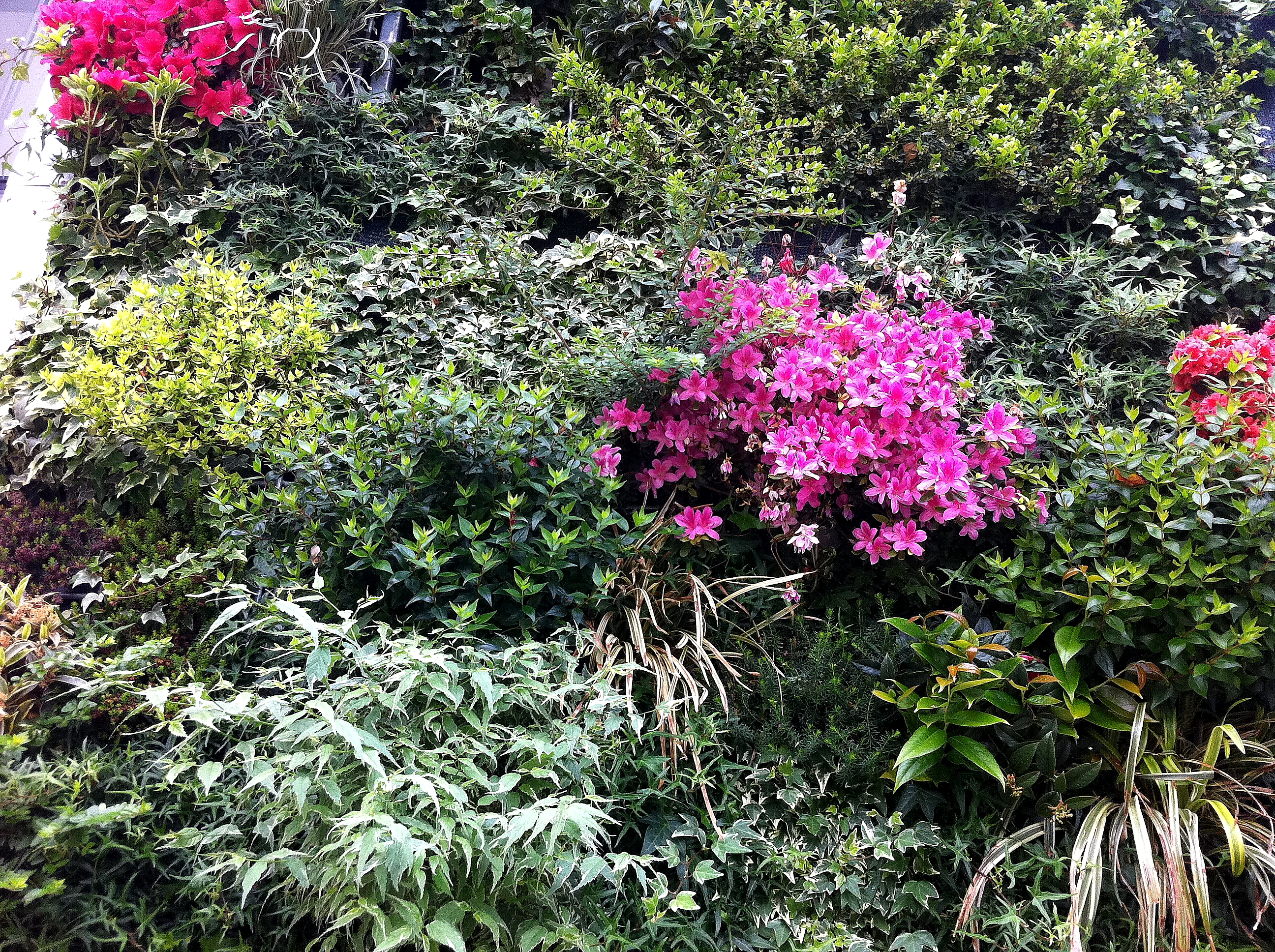 绿色公寓 · 模块化垂直绿化墙-13