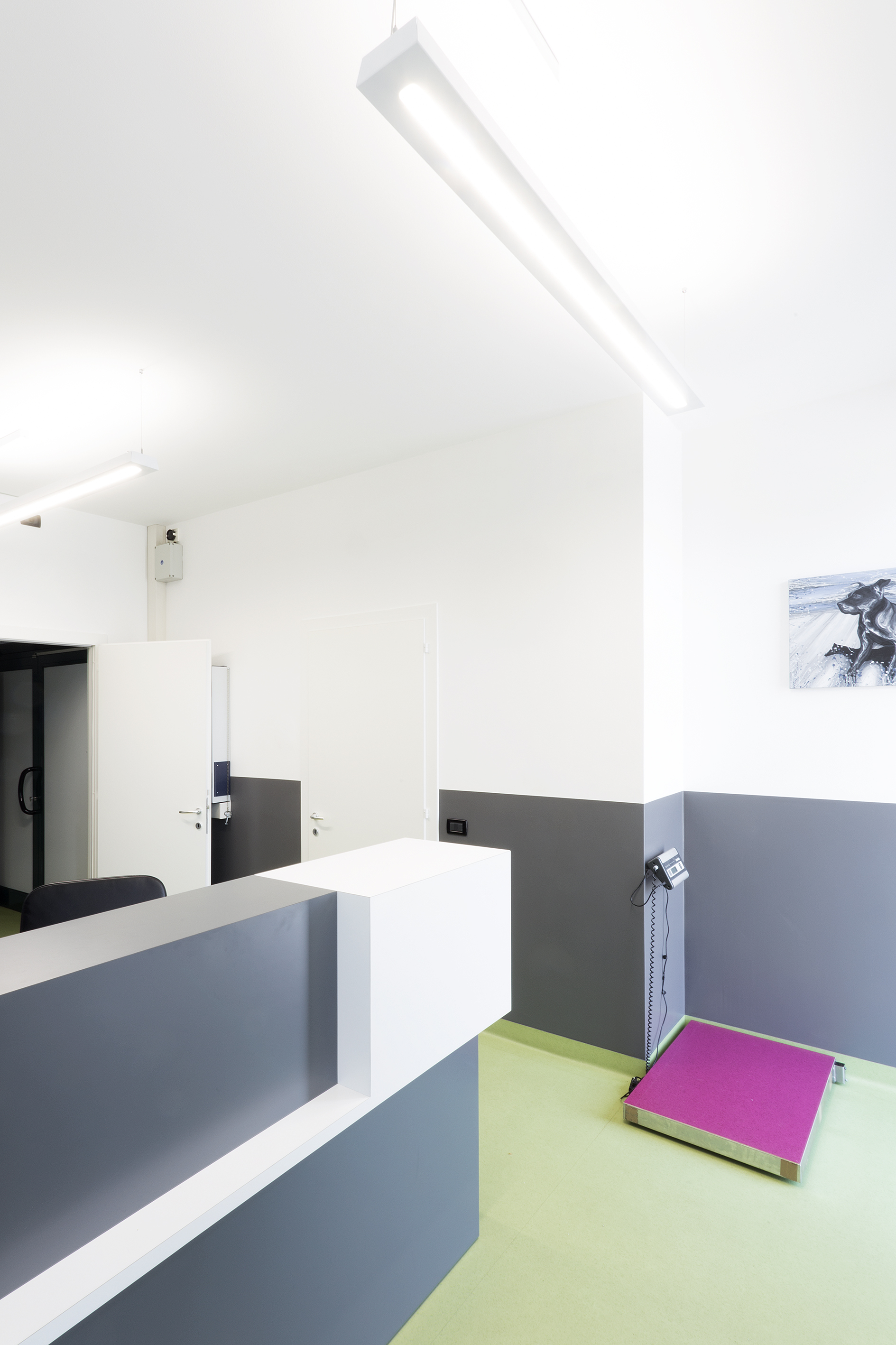 意大利兽医诊所翻新诠释简约美学-8