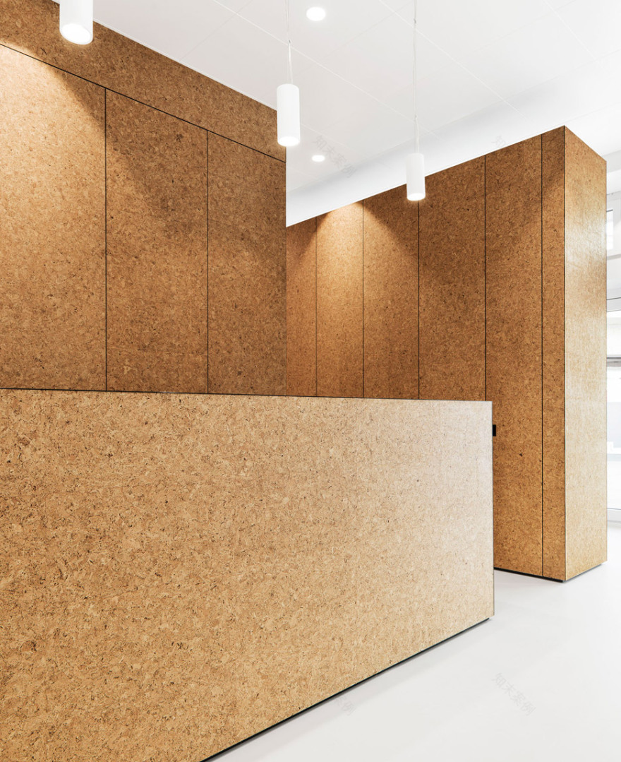 "温木"诊疗空间 | Dost 打造苏黎世心脏治疗中心-6