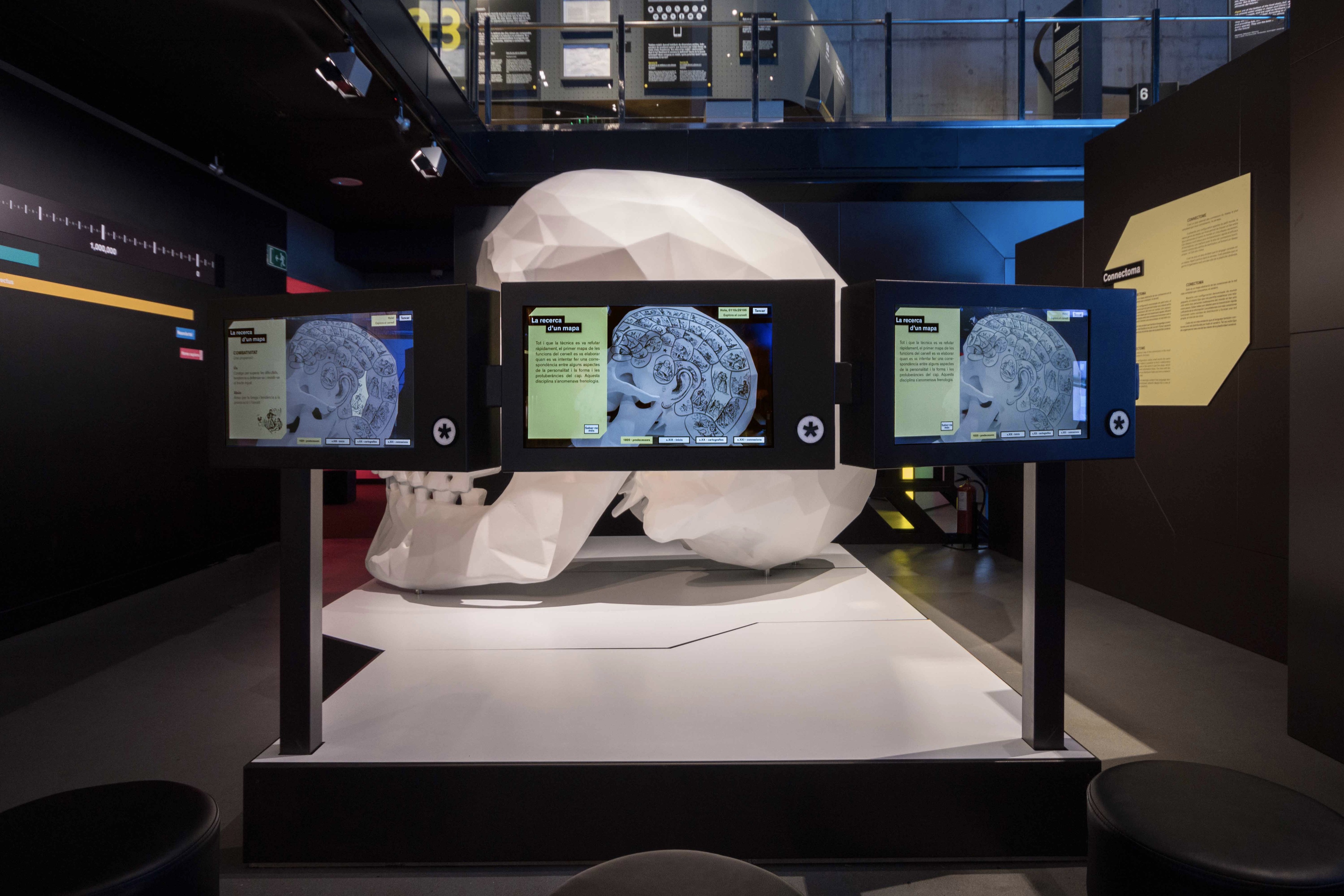 Talking Brains 展览设计-42