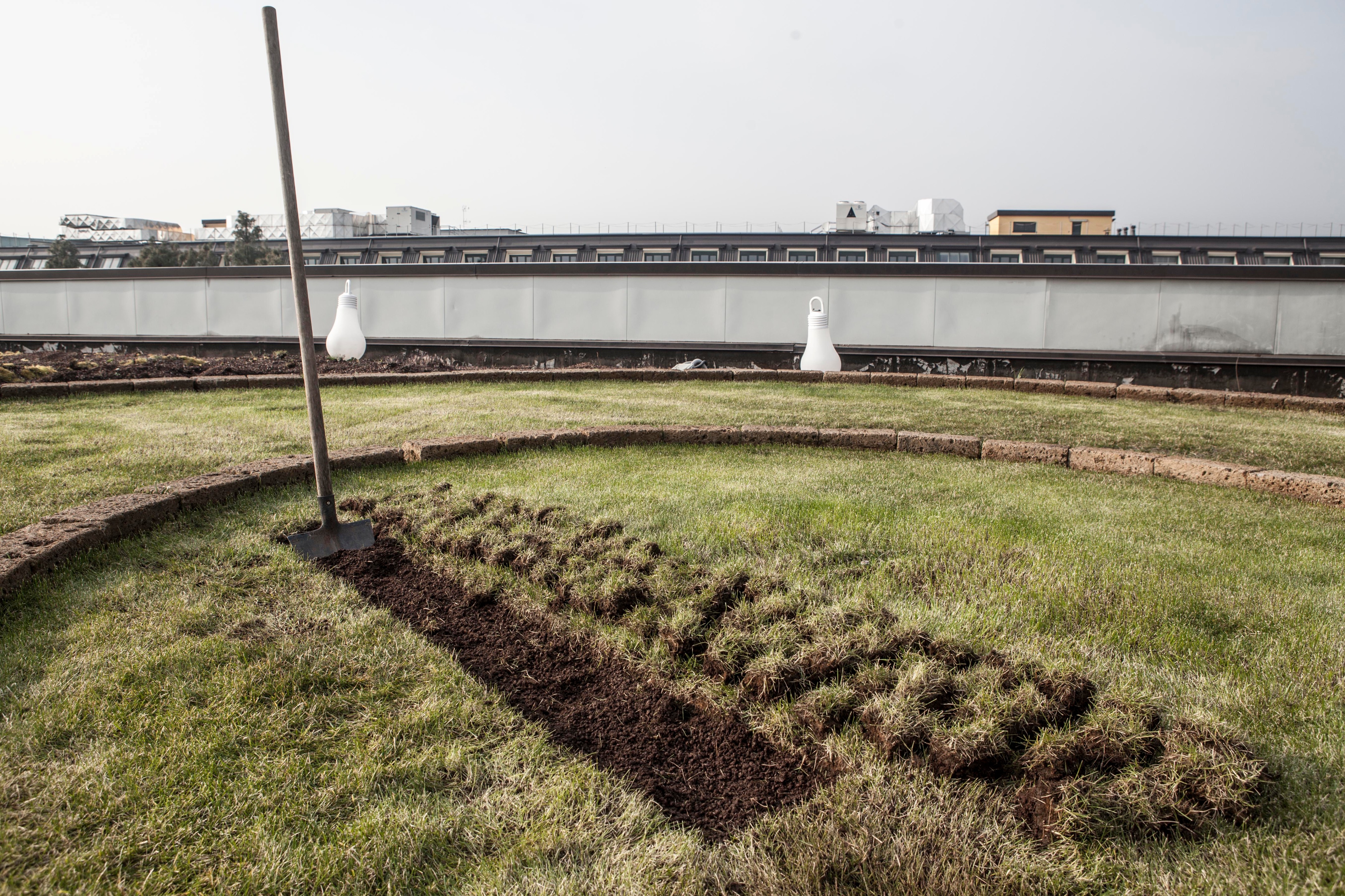 米兰屋顶稻田 · 创新城市农业设计-22