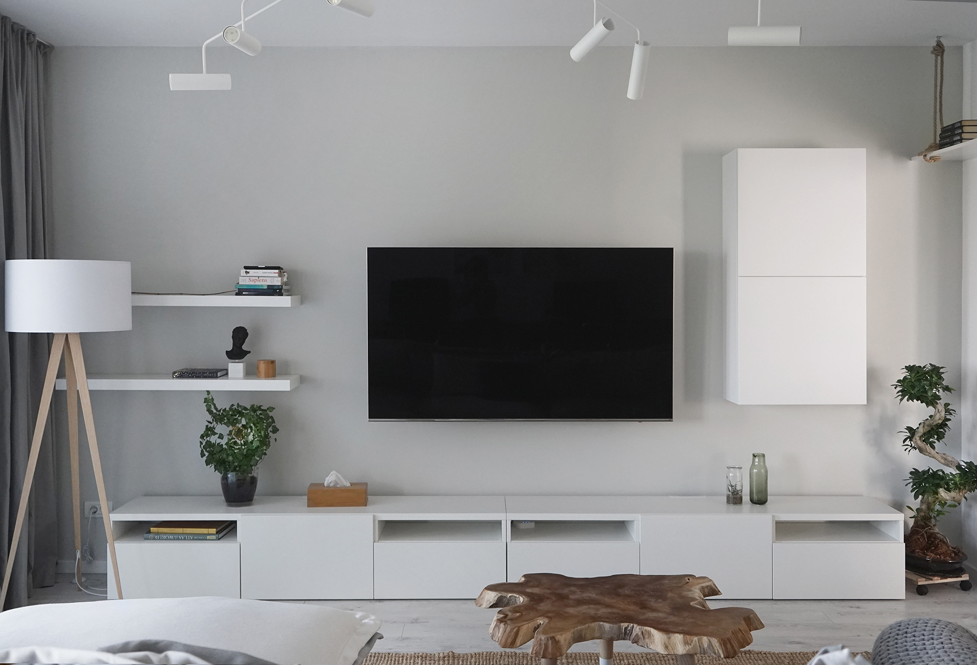 2017 年私人住宅室内设计佳作-2