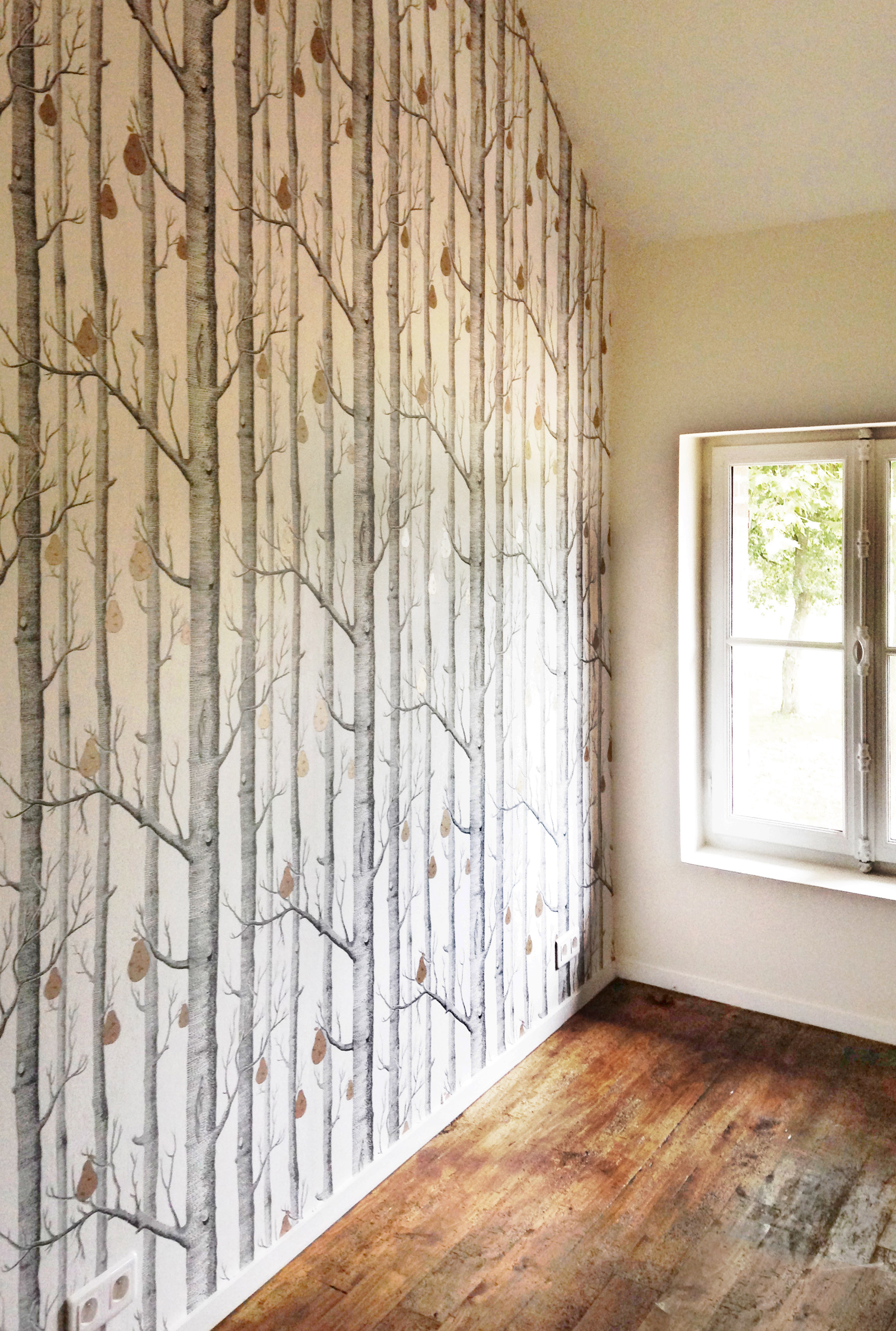 湖边猎屋的现代改造-22