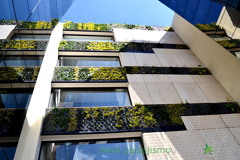 哥伦比亚绿色墙体设计 · 室内外一体化垂直花园-9