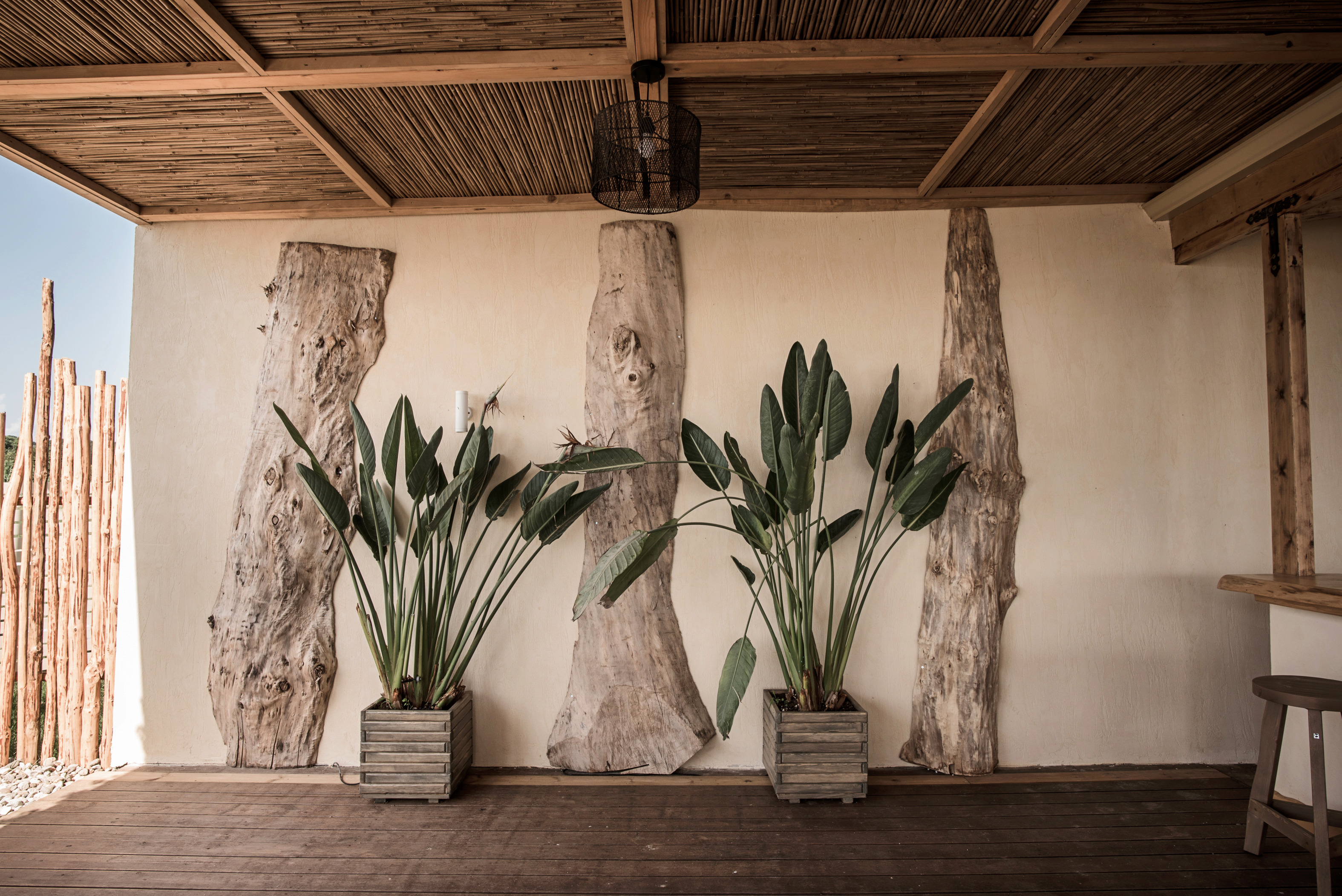 芒果海滩酒吧-2