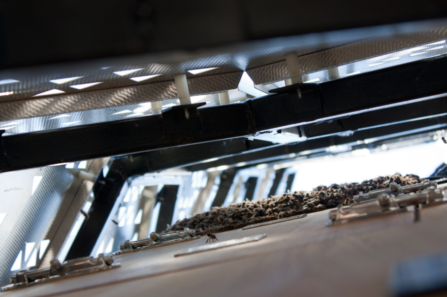 蜂巢城市:电梯 B-53