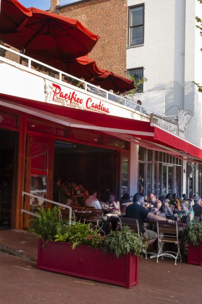 华盛顿 Pacifico Cantino Cafe Restaurant 现代风格室内设计-21