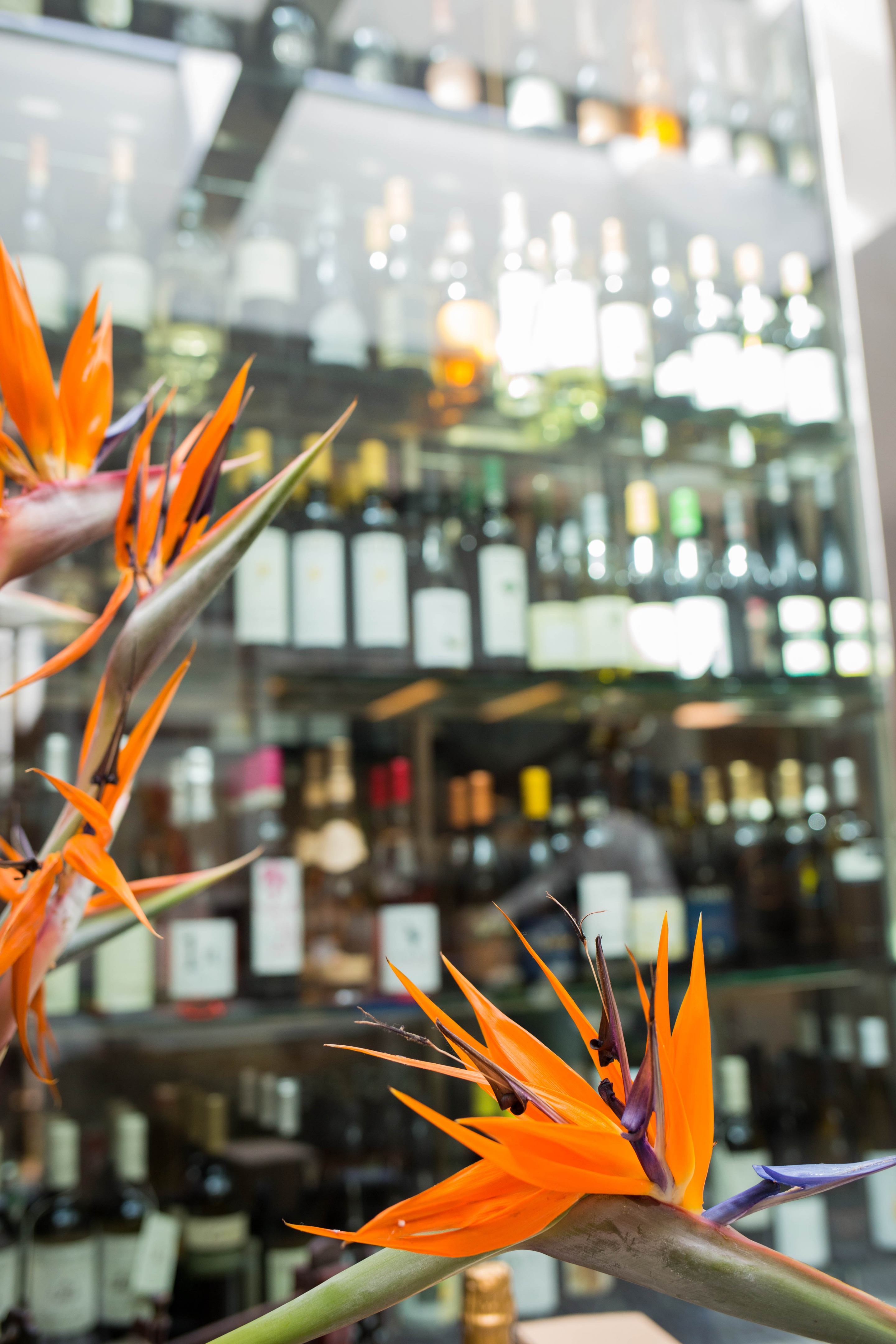 百年历史的意大利餐厅翻新记-15