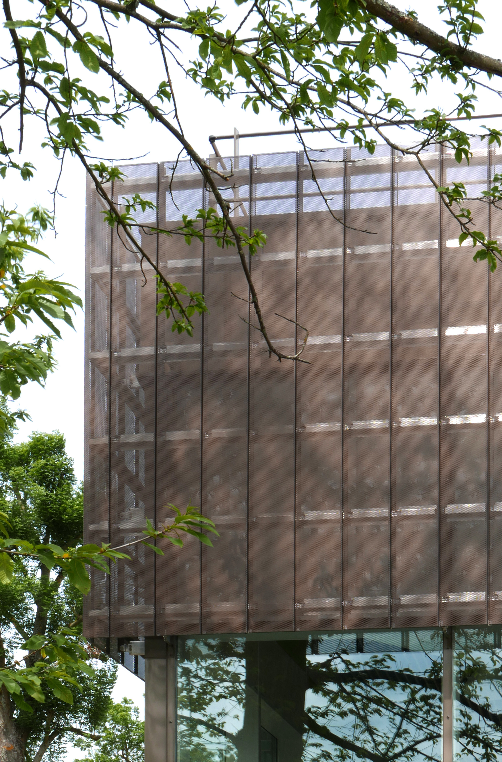 城市绿洲 · 安德烈·马尔罗小学室内设计-5